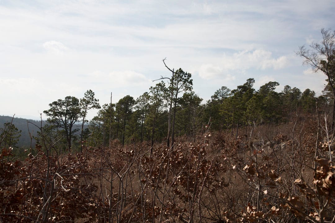 Stone Creek Phase III Tract 73 photo 6