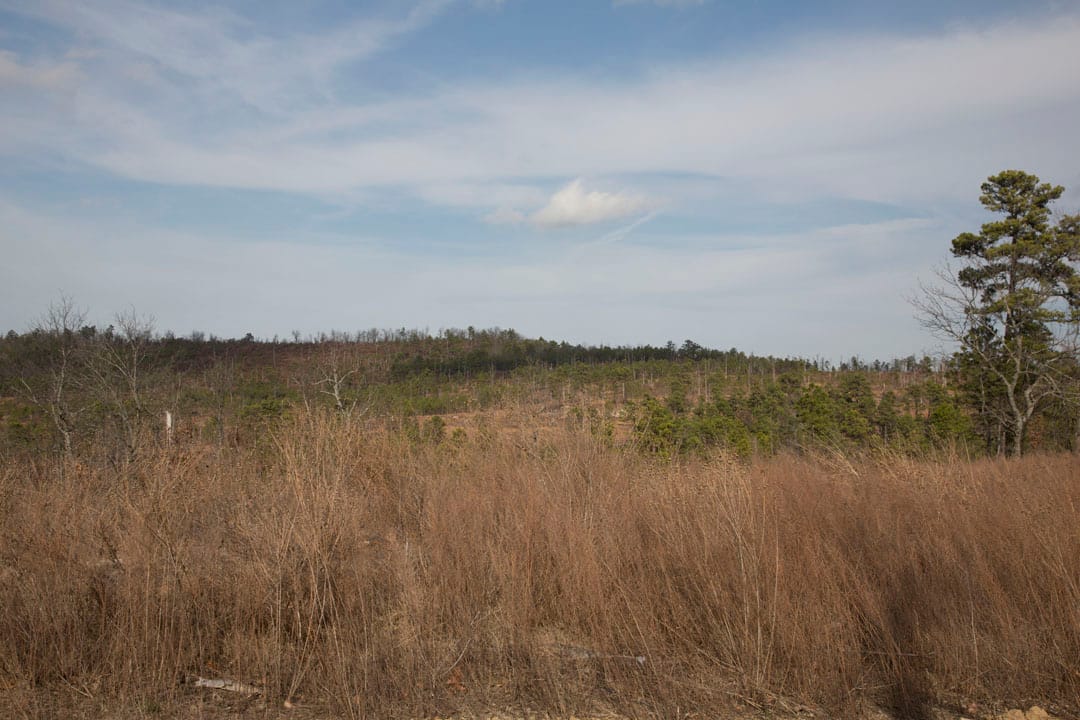 Stone Creek Phase III Tract 73 photo 1