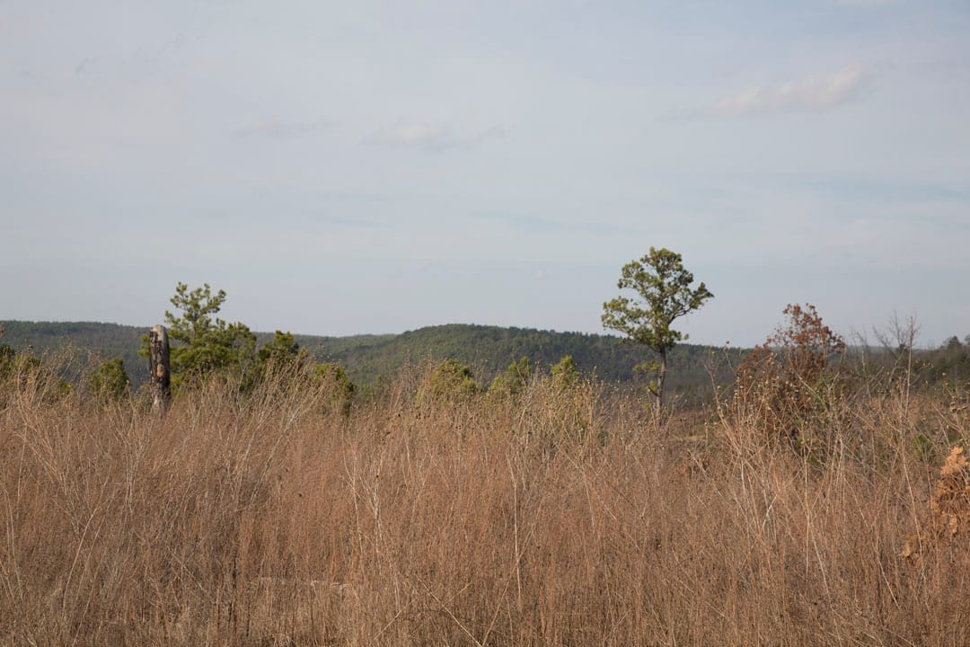 Stone Creek Phase III Tract 73 photo 7