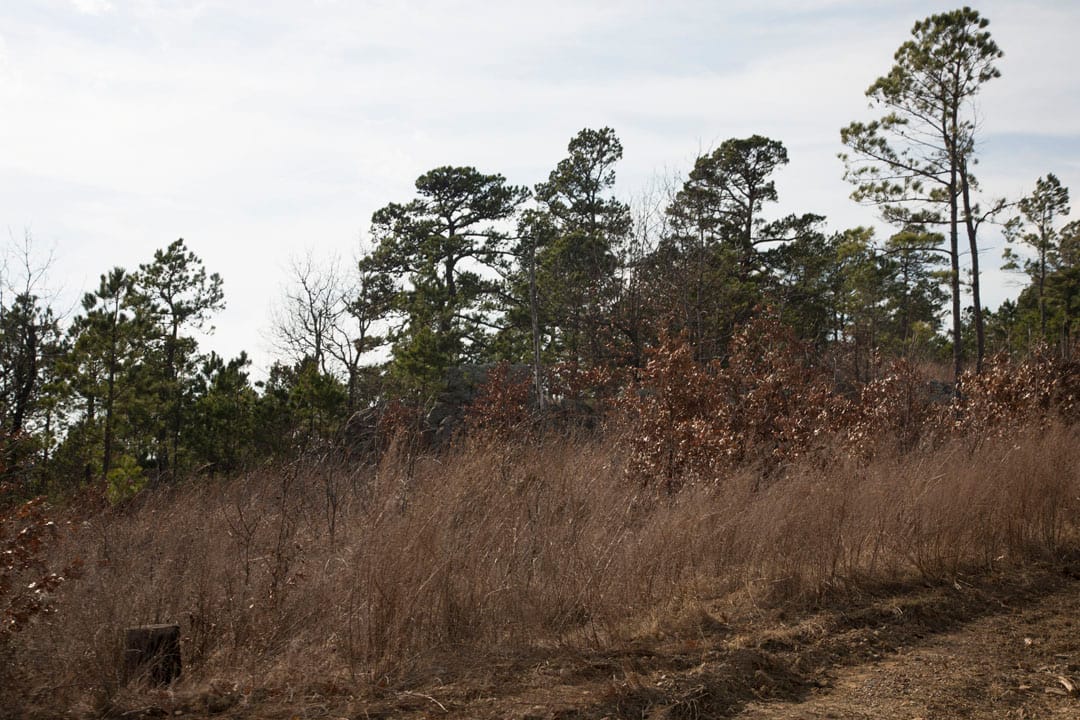 Stone Creek Phase III Tract 73 photo 8
