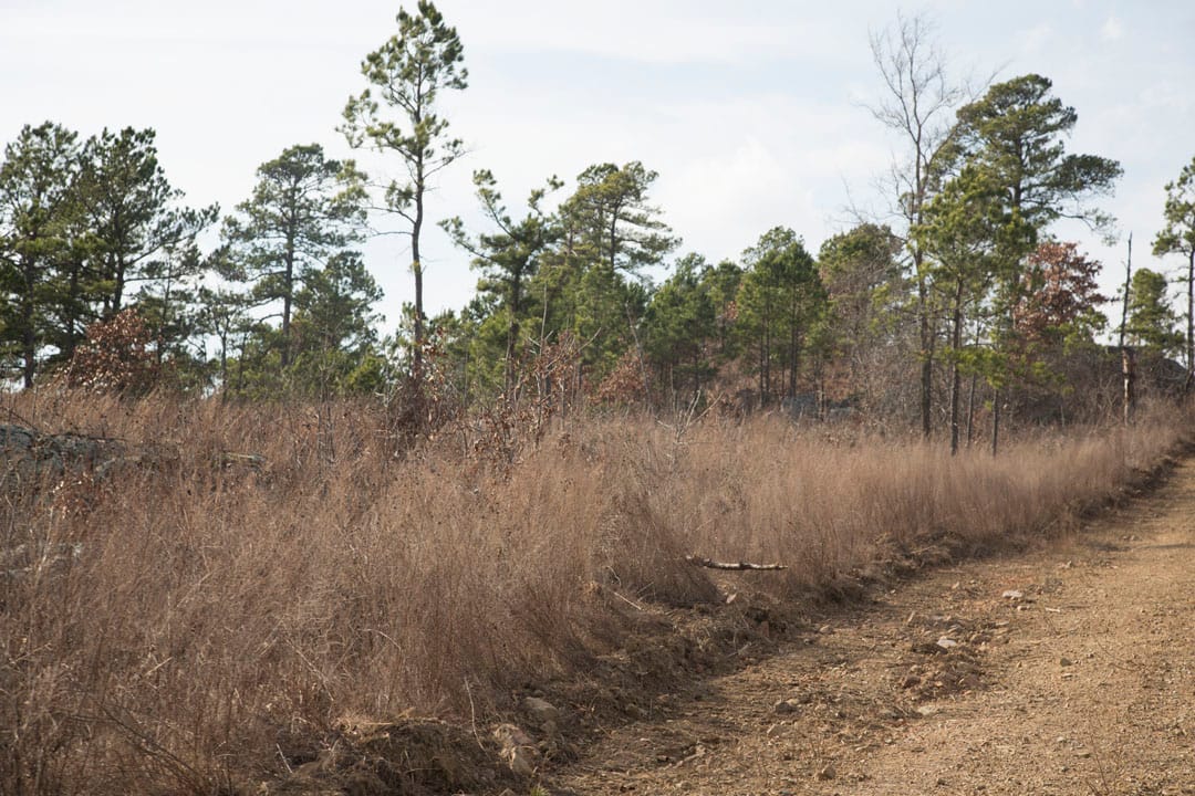 Stone Creek Phase III Tract 73 photo 9
