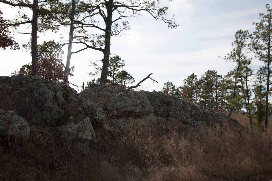 Stone Creek Phase III Tract 73 photo 11