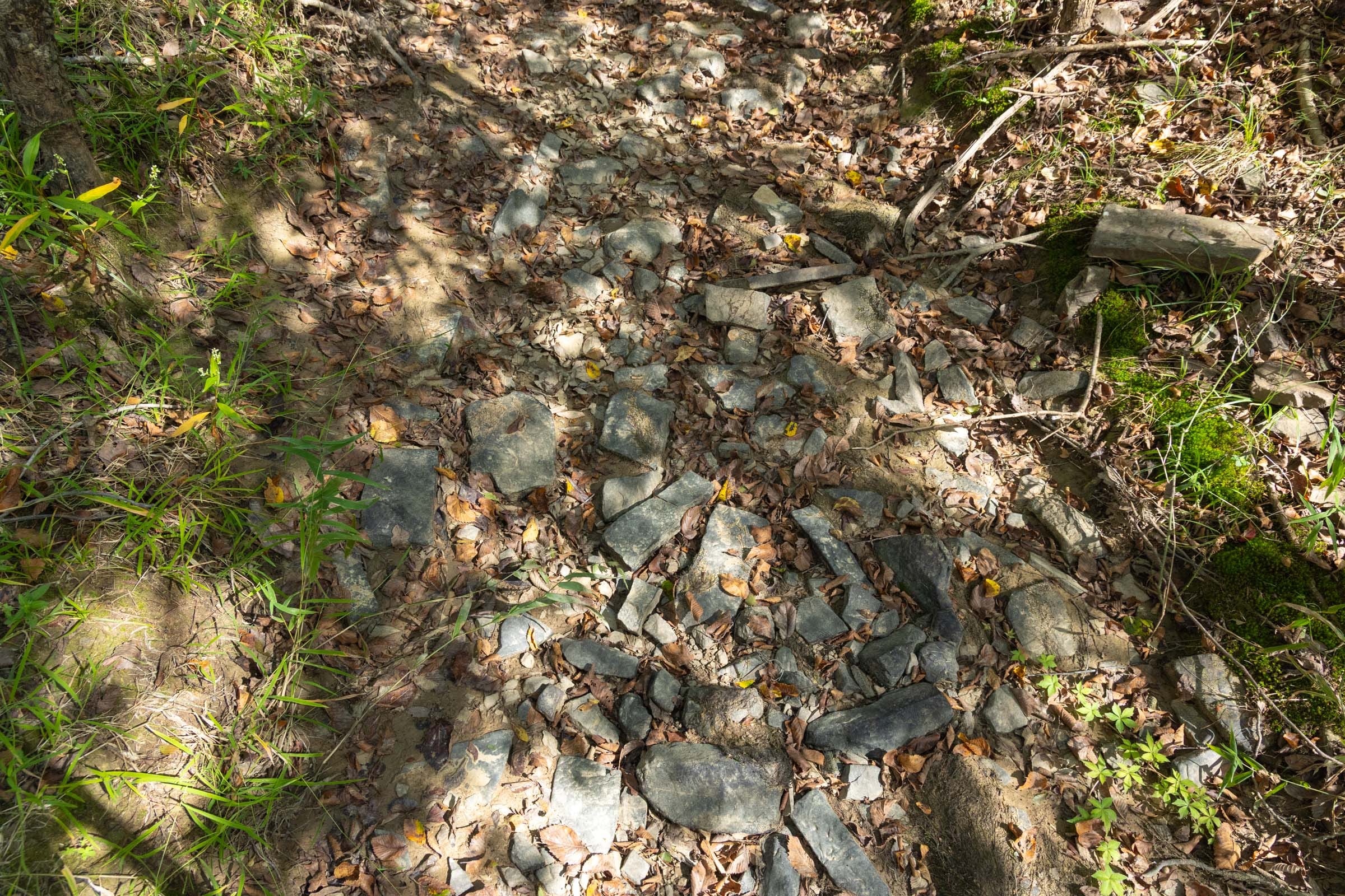 Reserves At Cattail Cove Phase II Tract 76 photo 11