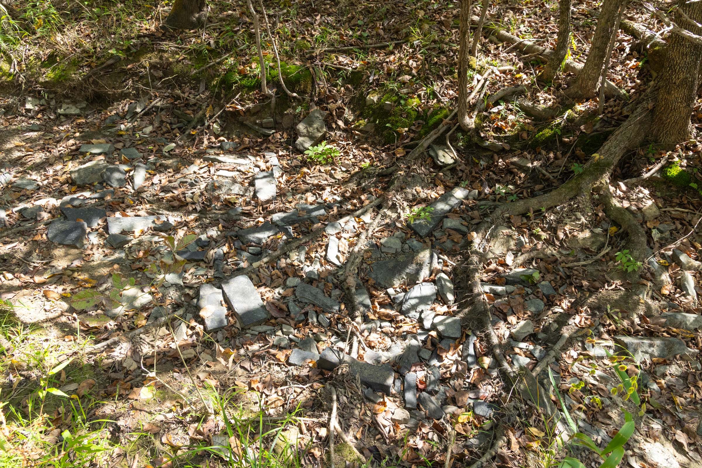 Reserves At Cattail Cove Phase II Tract 76 photo 10