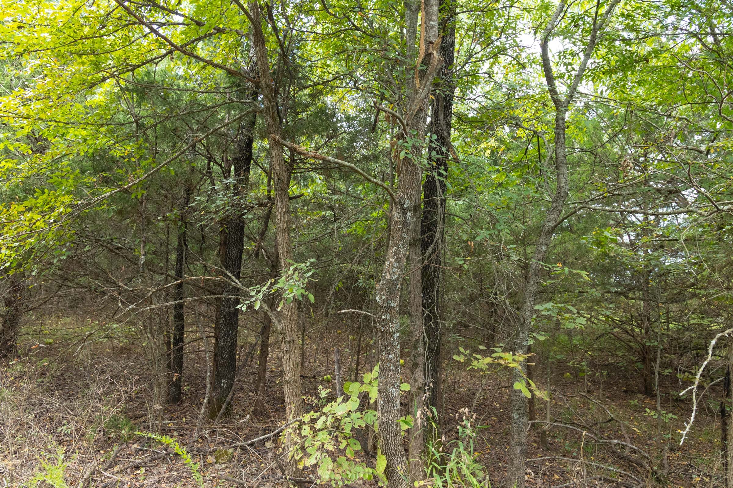Reserves At Cattail Cove Phase II Tract 76 photo 18