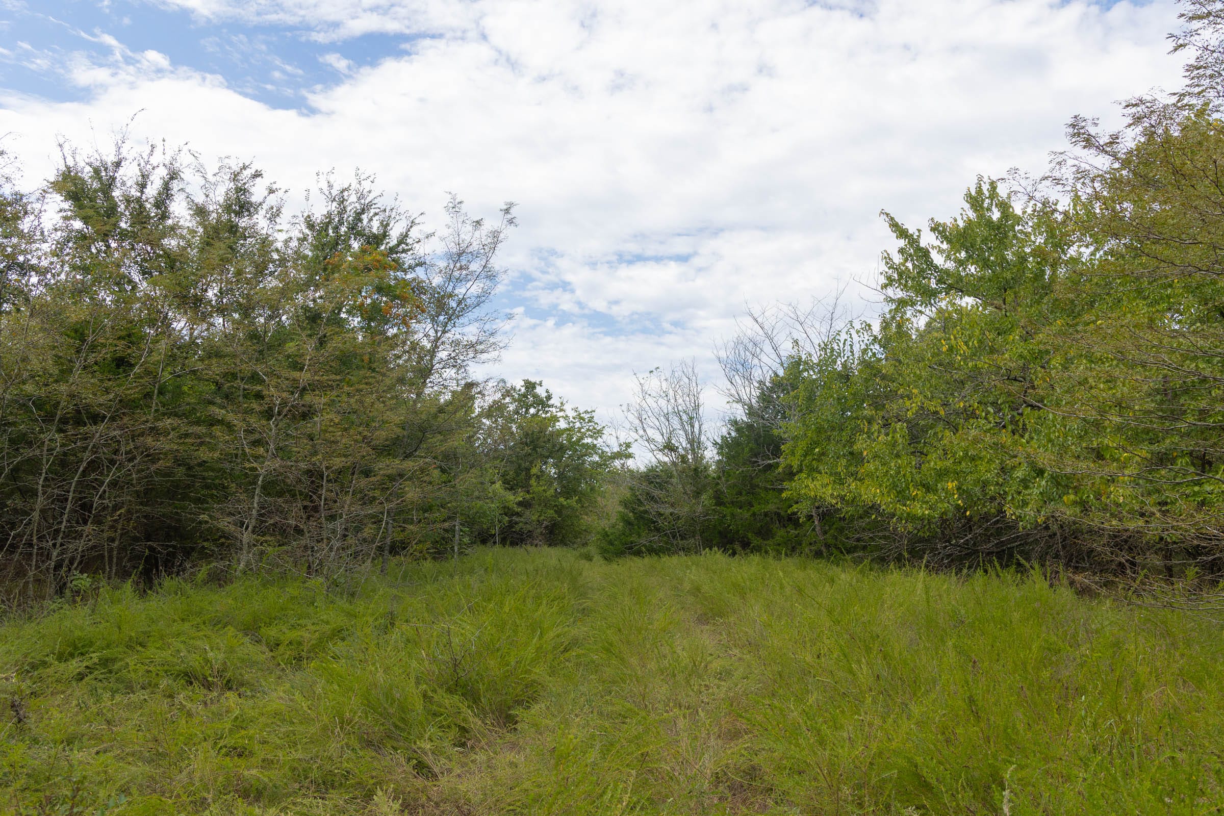 Reserves At Cattail Cove Phase II Tract 76 photo 17