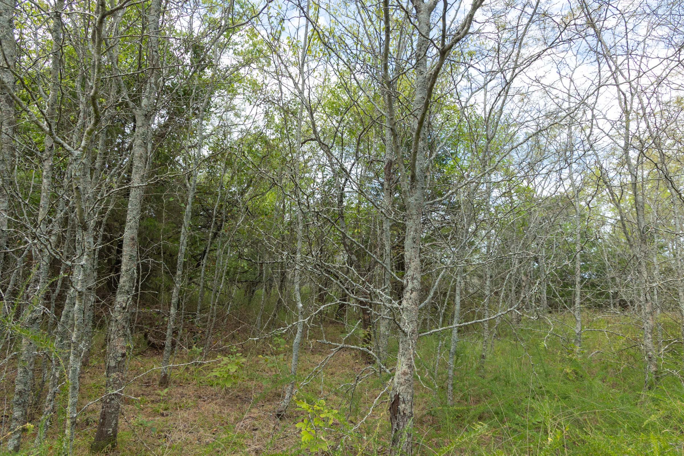 Reserves At Cattail Cove Phase II Tract 76 photo 16