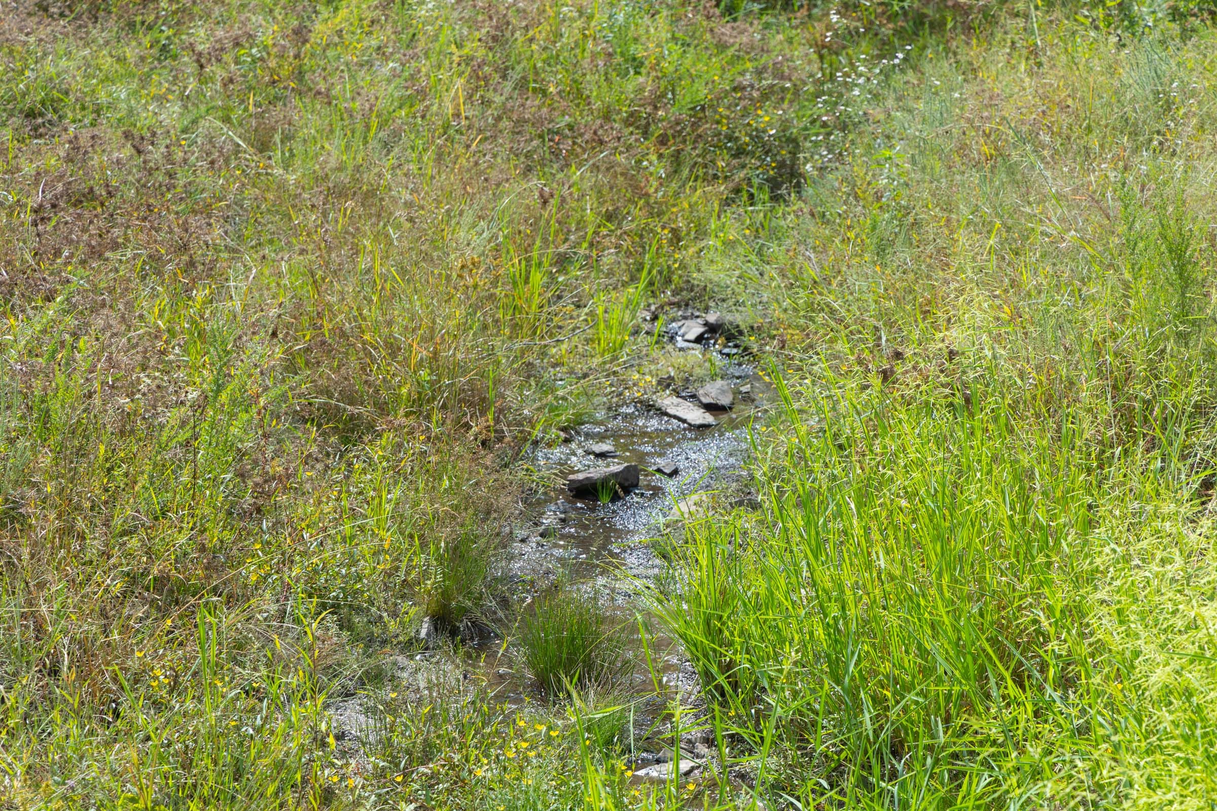 Reserves At Cattail Cove Phase II Tract 76 photo 7