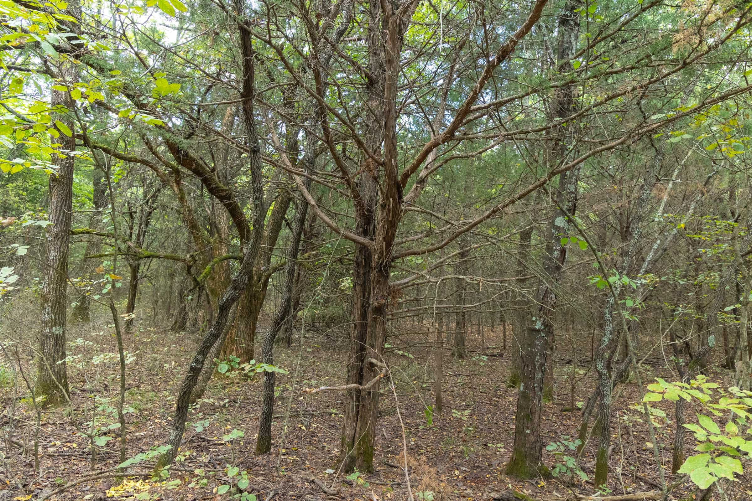Reserves At Cattail Cove Phase II Tract 76 photo 15