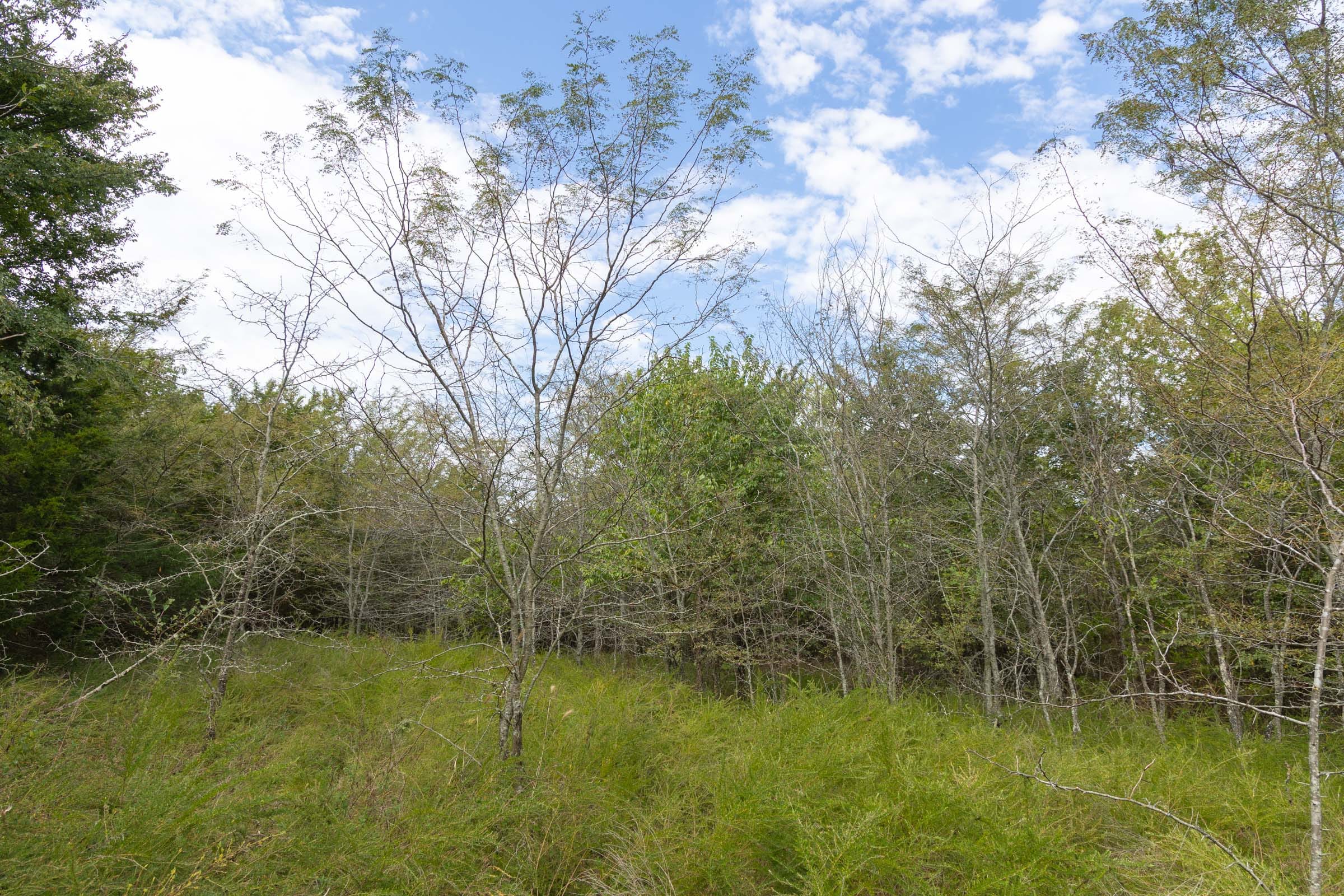 Reserves At Cattail Cove Phase II Tract 76 photo 5