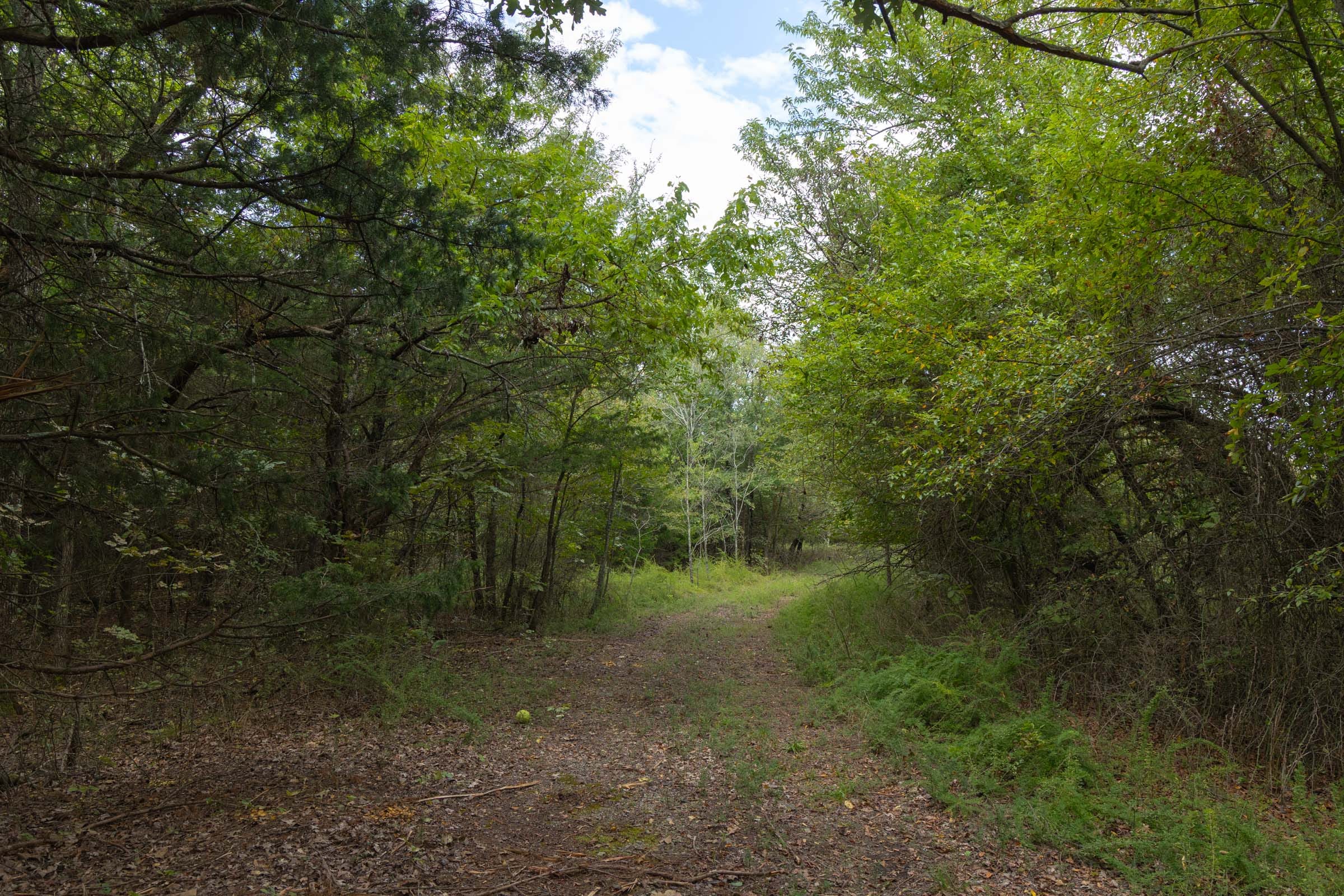 Reserves At Cattail Cove Phase II Tract 76 photo 14
