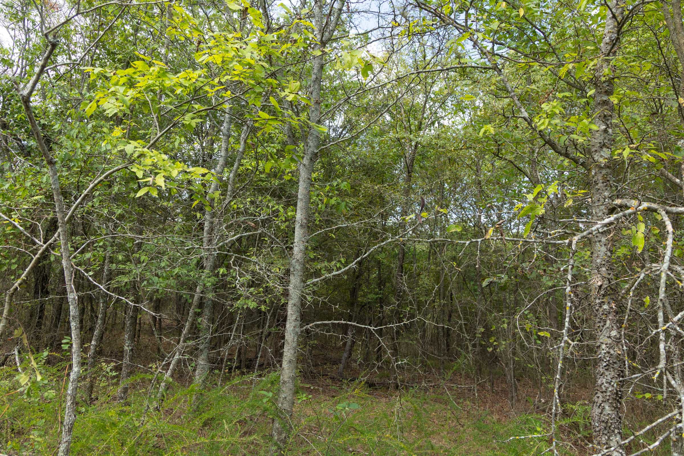 Reserves At Cattail Cove Phase II Tract 76 photo 13