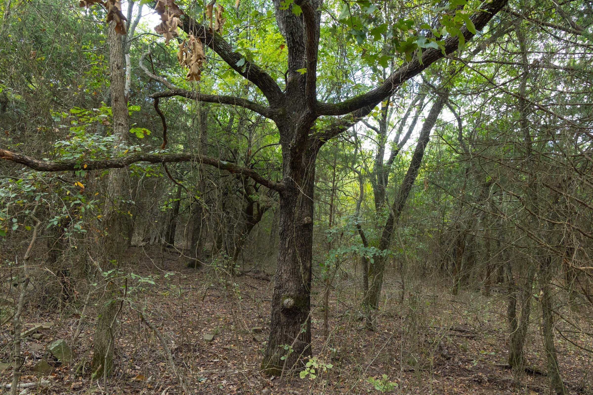 Reserves At Cattail Cove Phase II Tract 76 photo 12