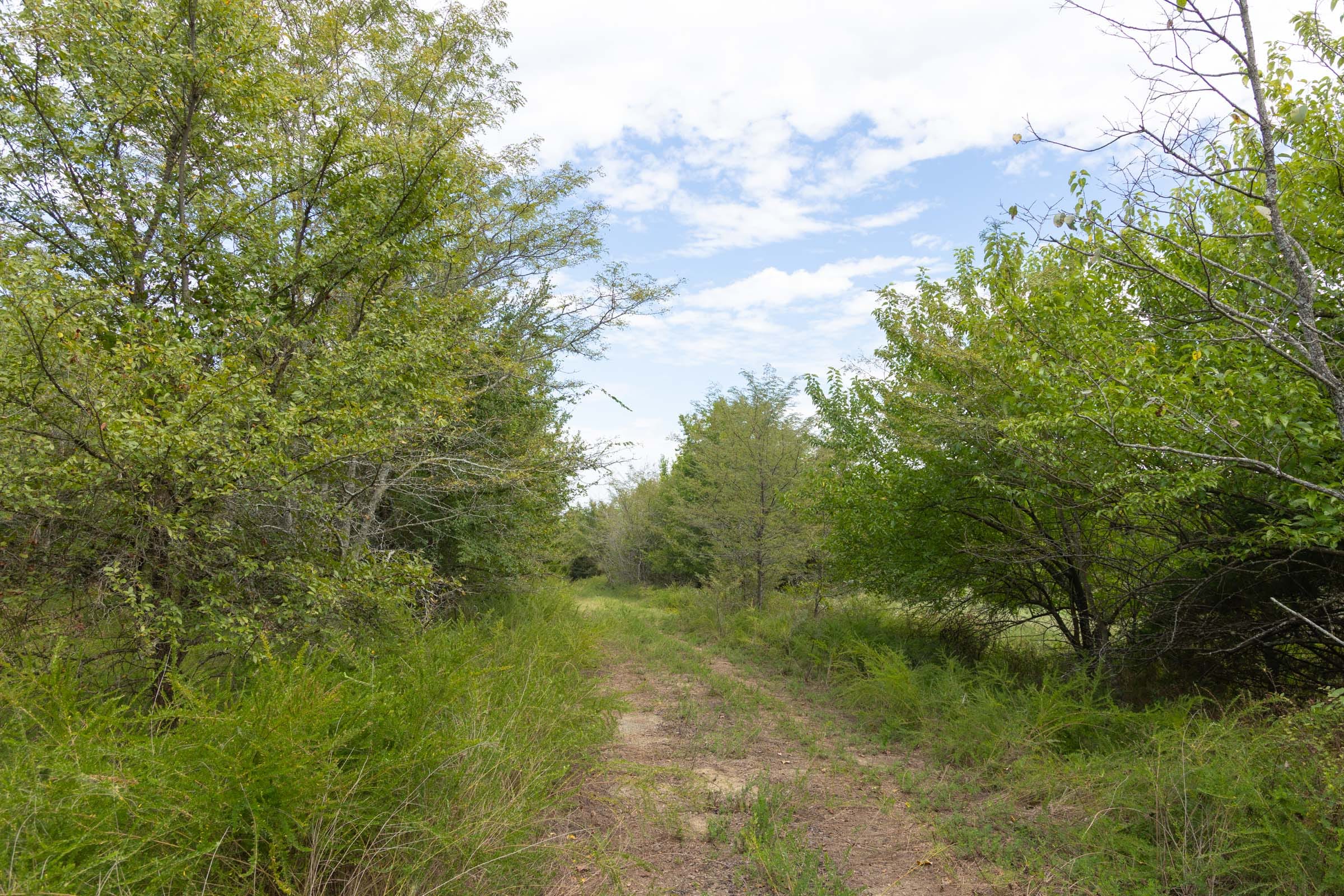 Reserves At Cattail Cove Phase II Tract 76 photo 4