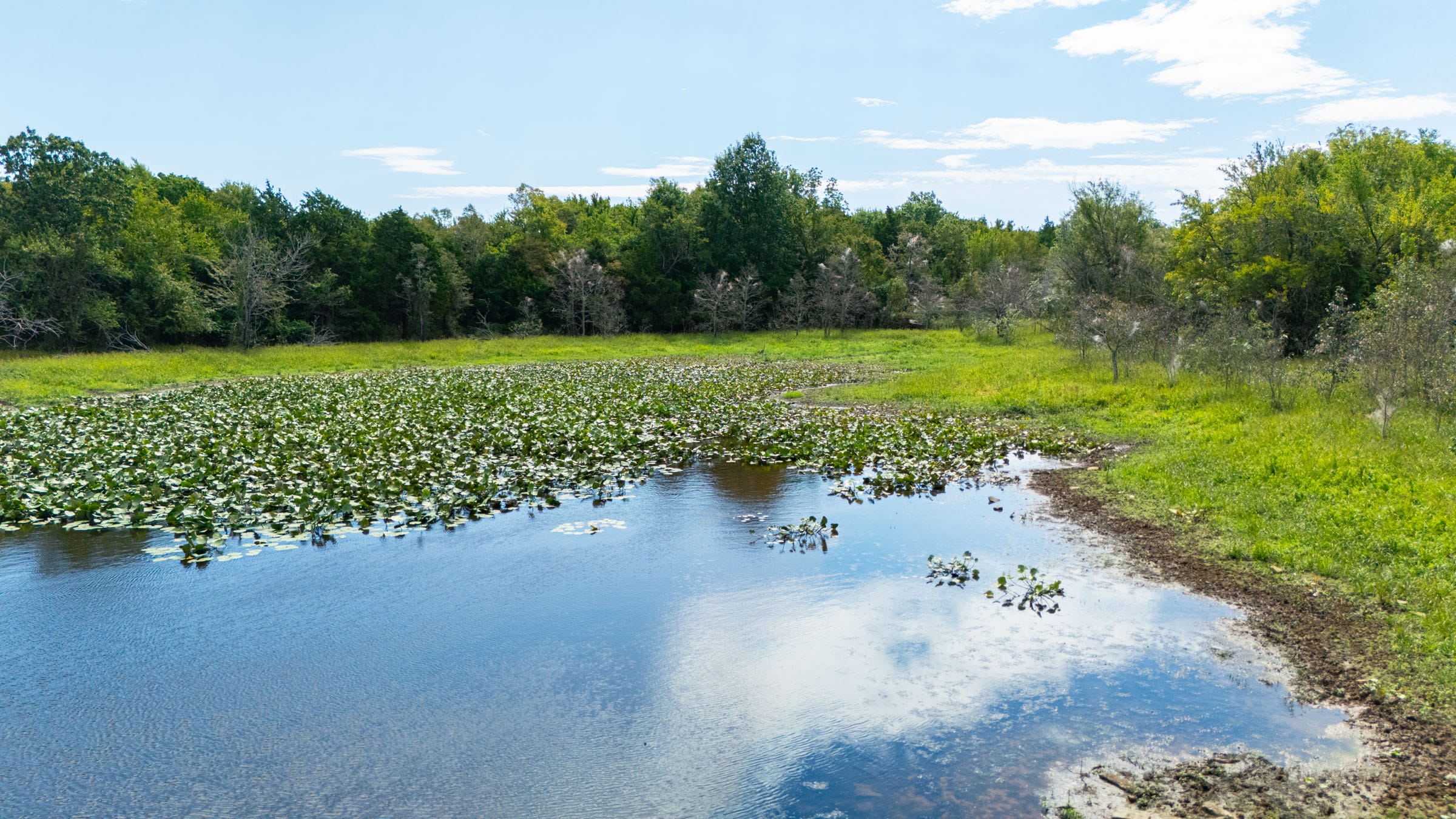 Reserves At Cattail Cove Phase II Tract 76 photo 9