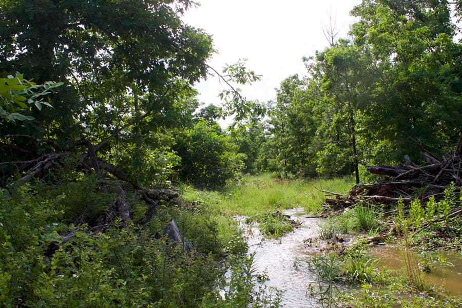 Thunder Mountain Ranch Tract 17 photo 4