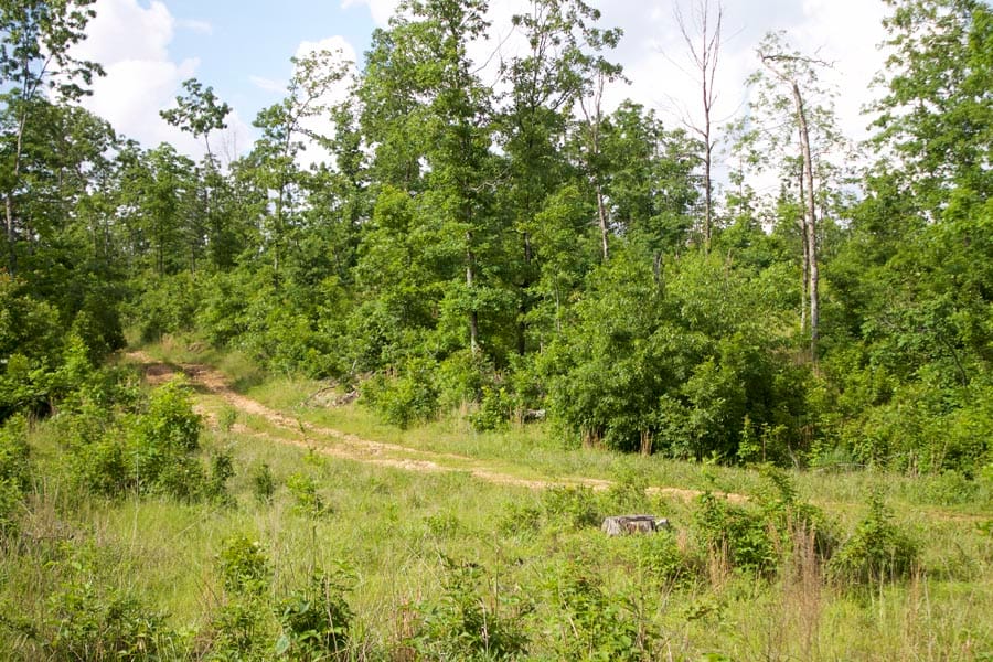 Thunder Mountain Ranch Tract 17 photo 7
