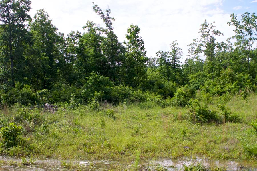 Thunder Mountain Ranch Tract 17 photo 8