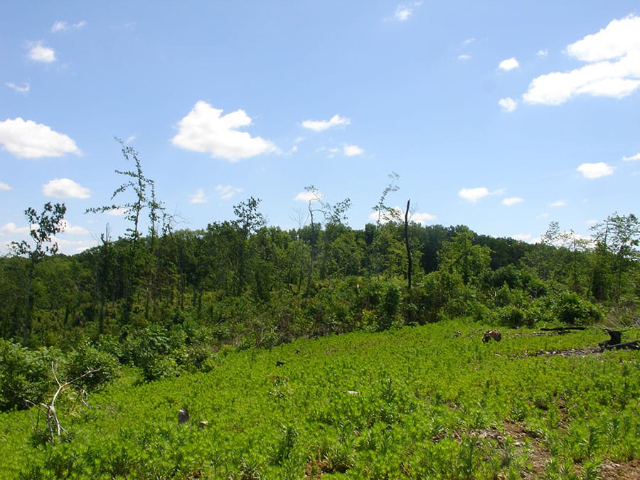 Antler Ridge Tract 8 photo 1