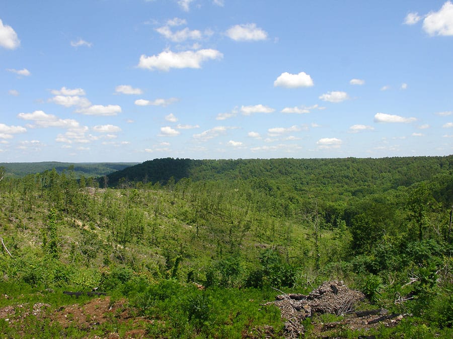 Antler Ridge Tract 8 photo 3