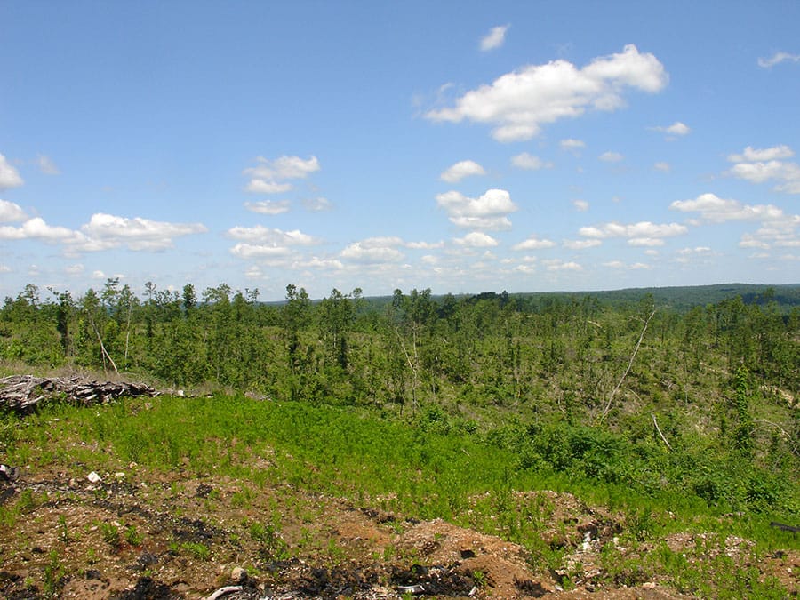Antler Ridge Tract 8 photo 4