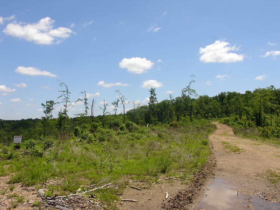 Antler Ridge Tract 8 photo 5
