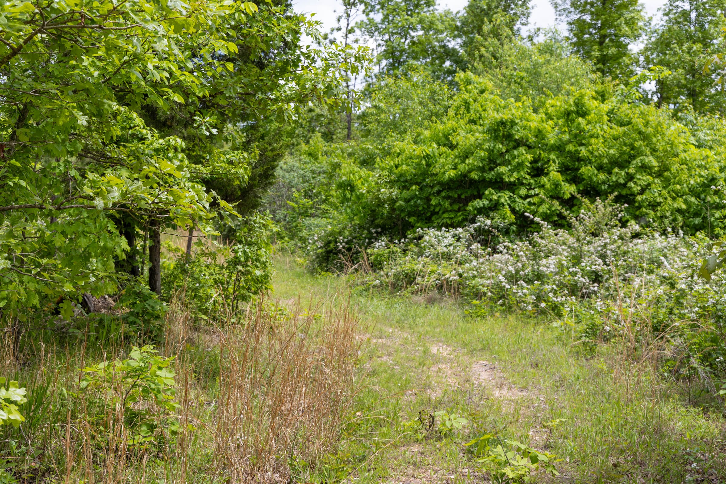 Sleepy Hollow Phase II Tract 82 photo 3