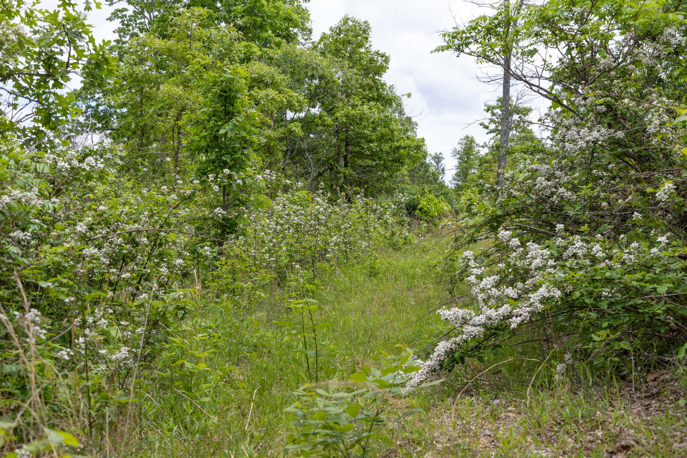 Sleepy Hollow Phase II Tract 82 photo 13