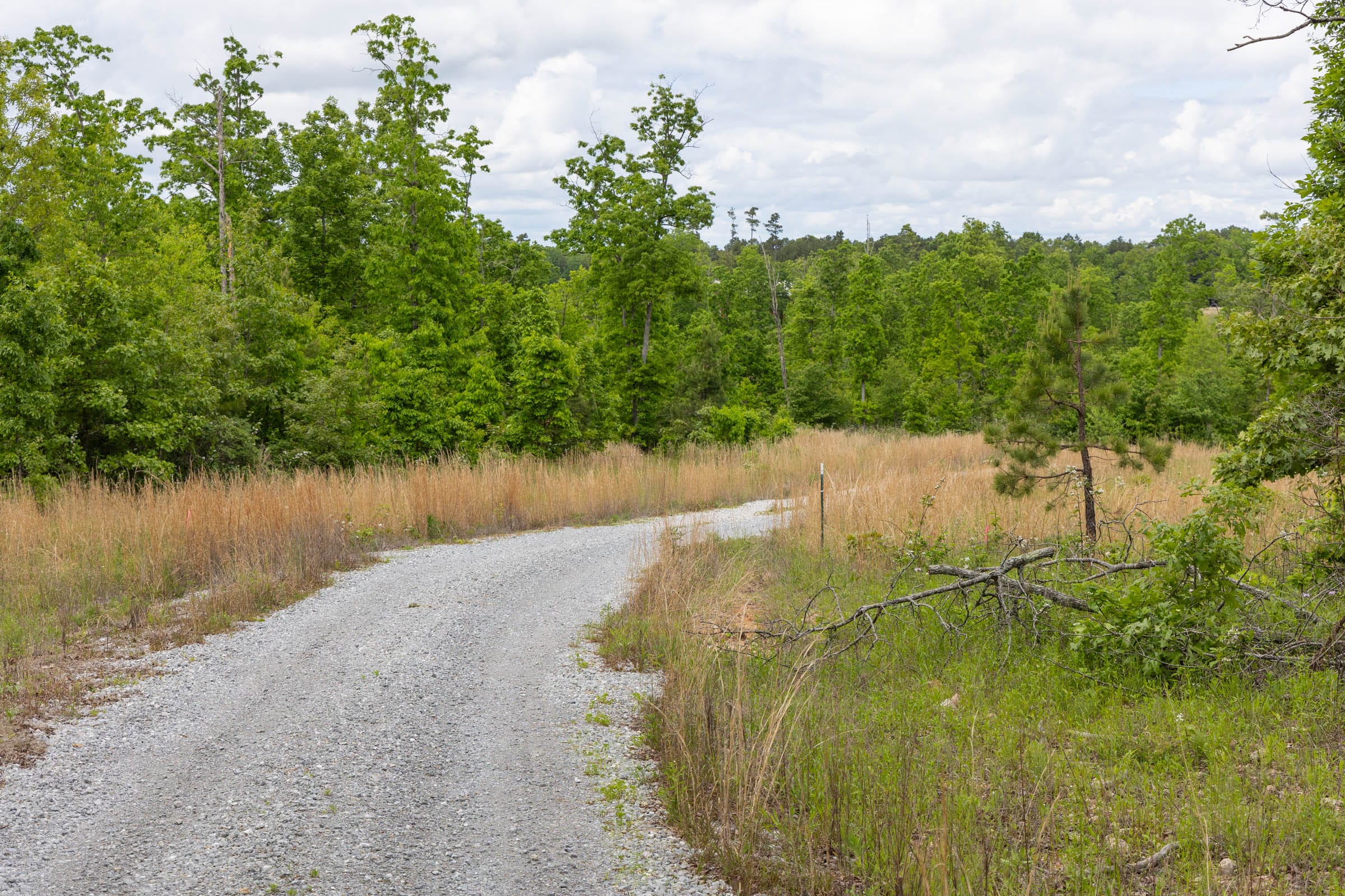 Sleepy Hollow Phase II Tract 82 photo 2