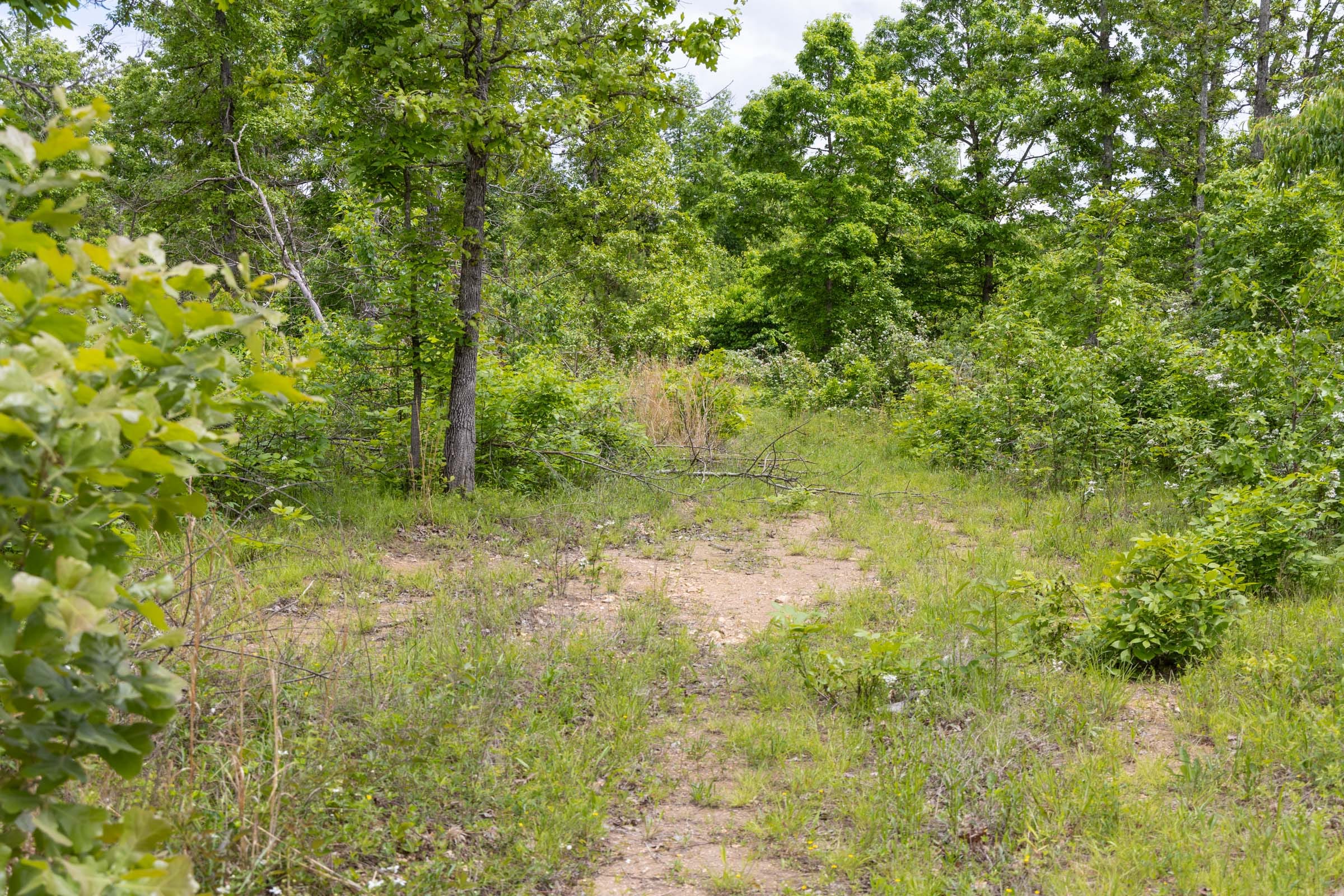 Sleepy Hollow Phase II Tract 82 photo 9