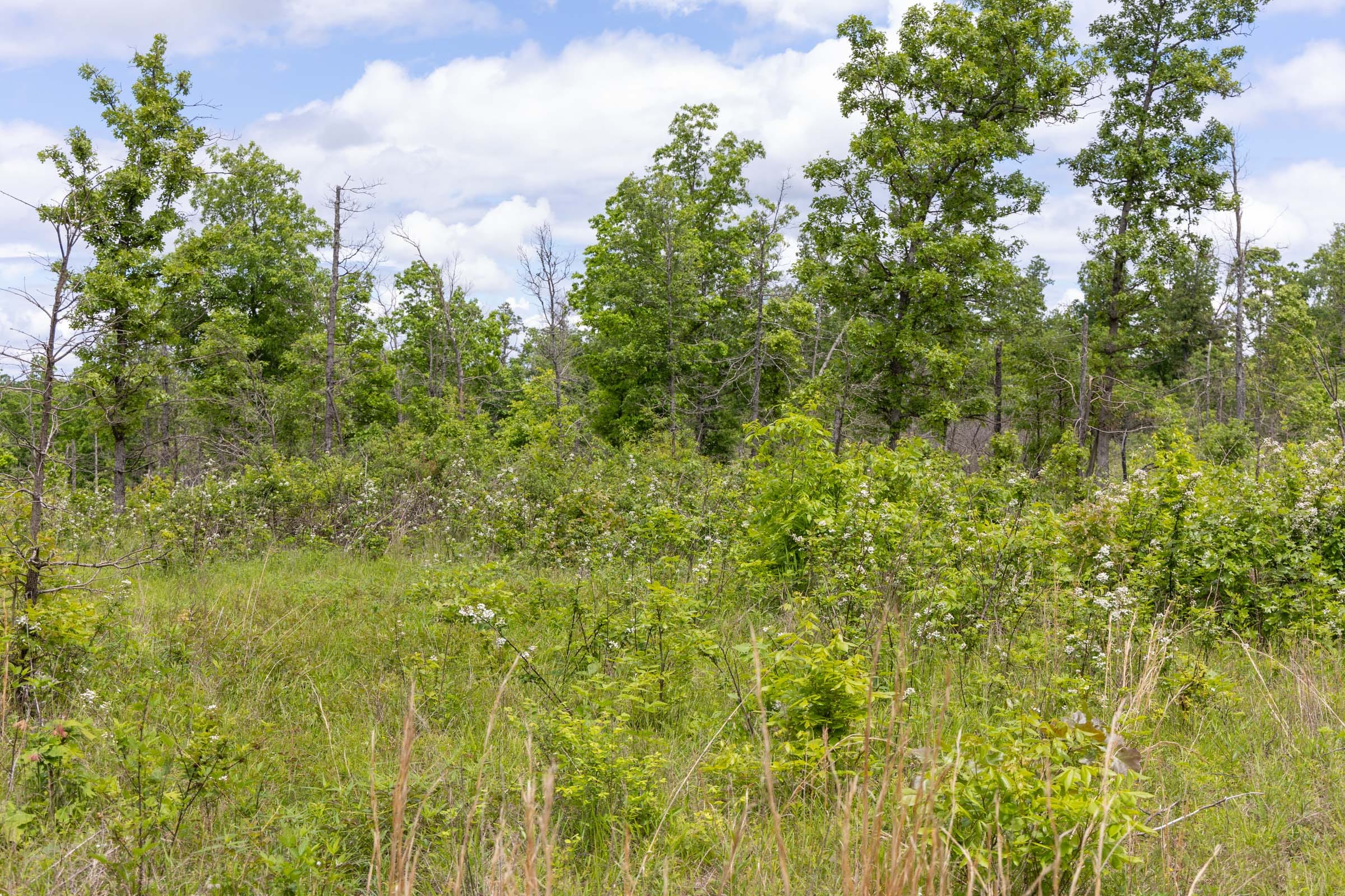 Sleepy Hollow Phase II Tract 82 photo 8