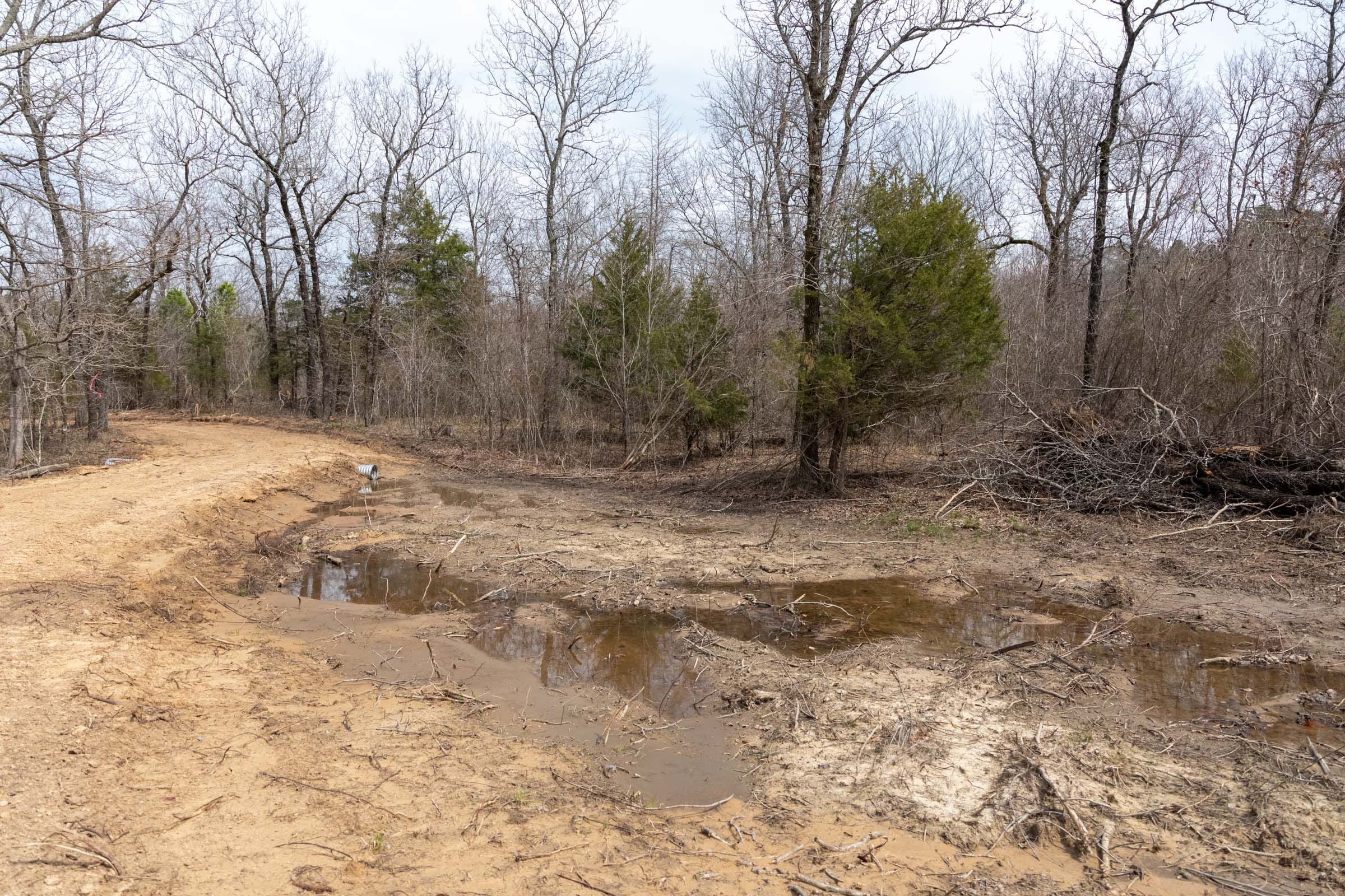 Stone Bridge Phase III Tract 165 photo 3