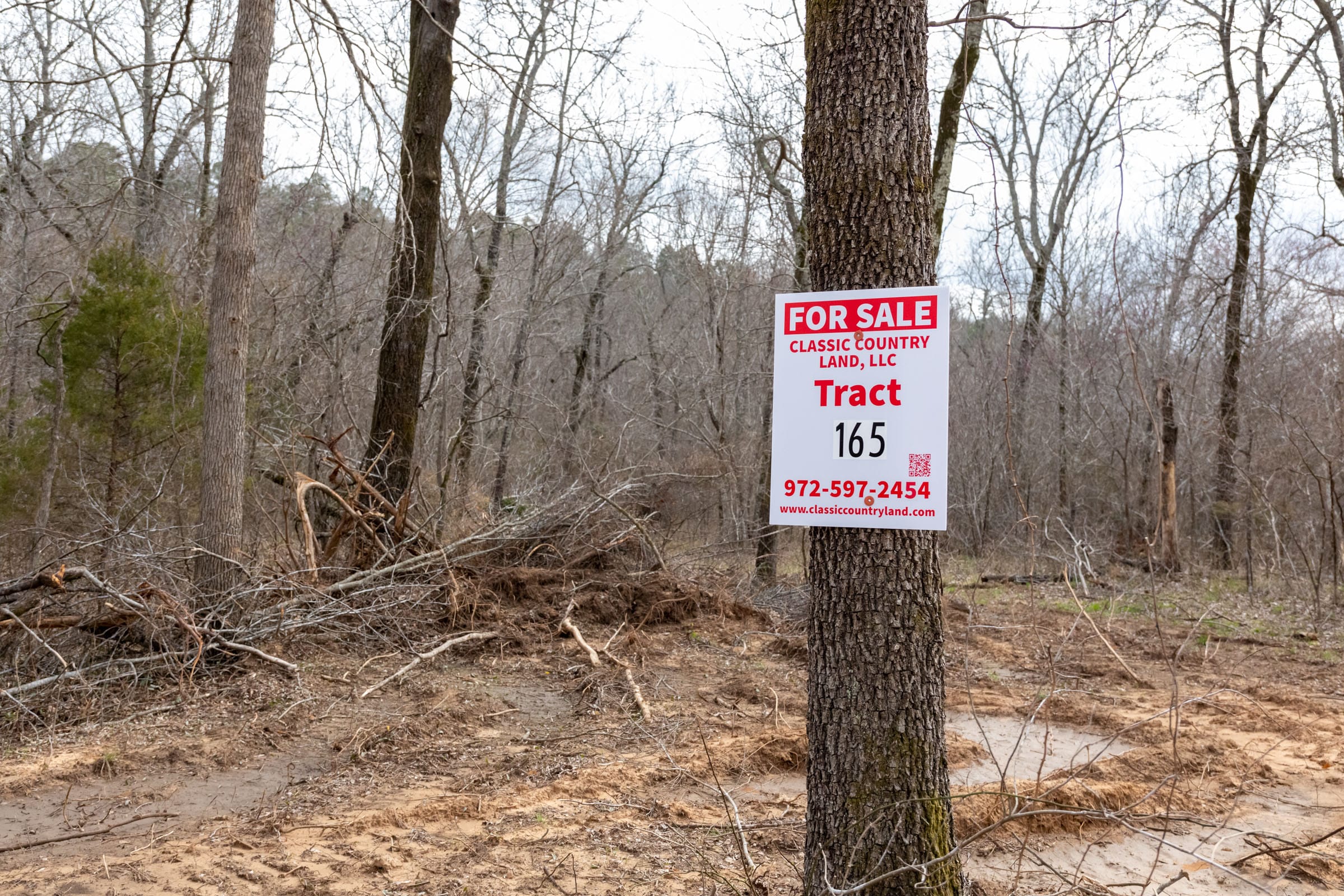 Stone Bridge Phase III Tract 165 photo 1