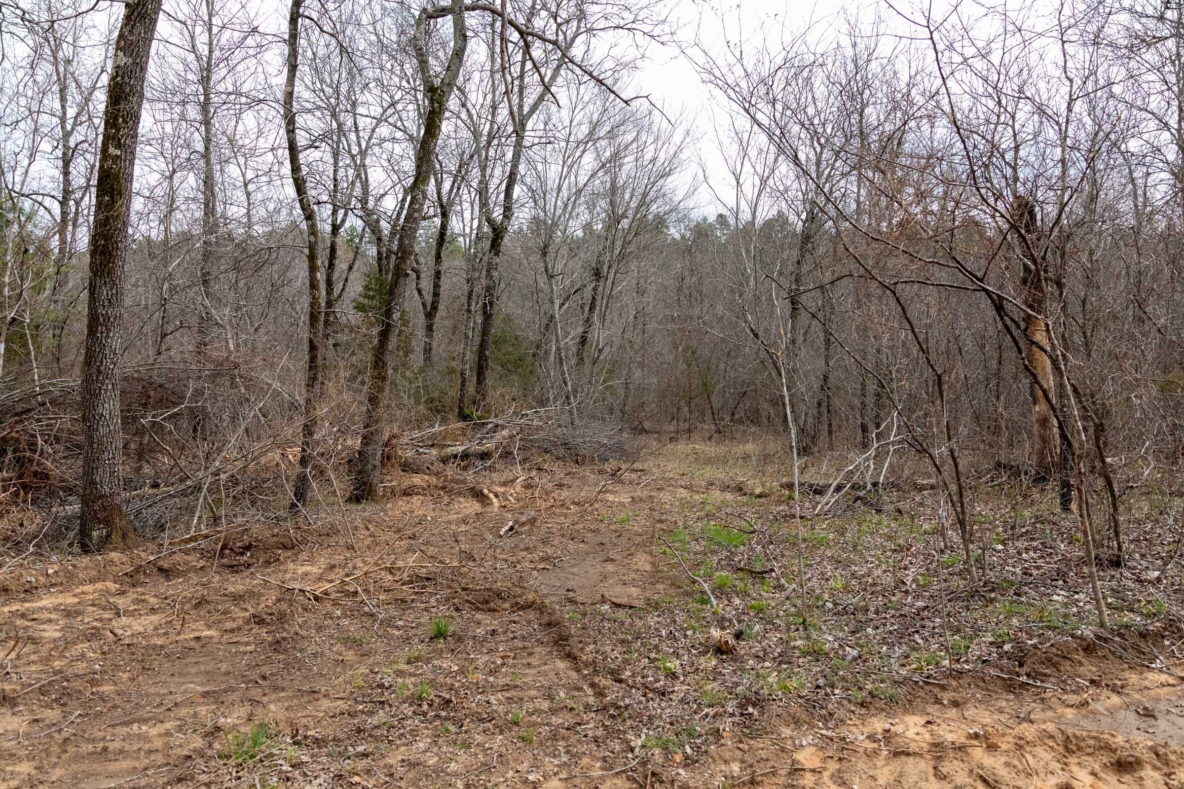 Stone Bridge Phase III Tract 165 photo 9