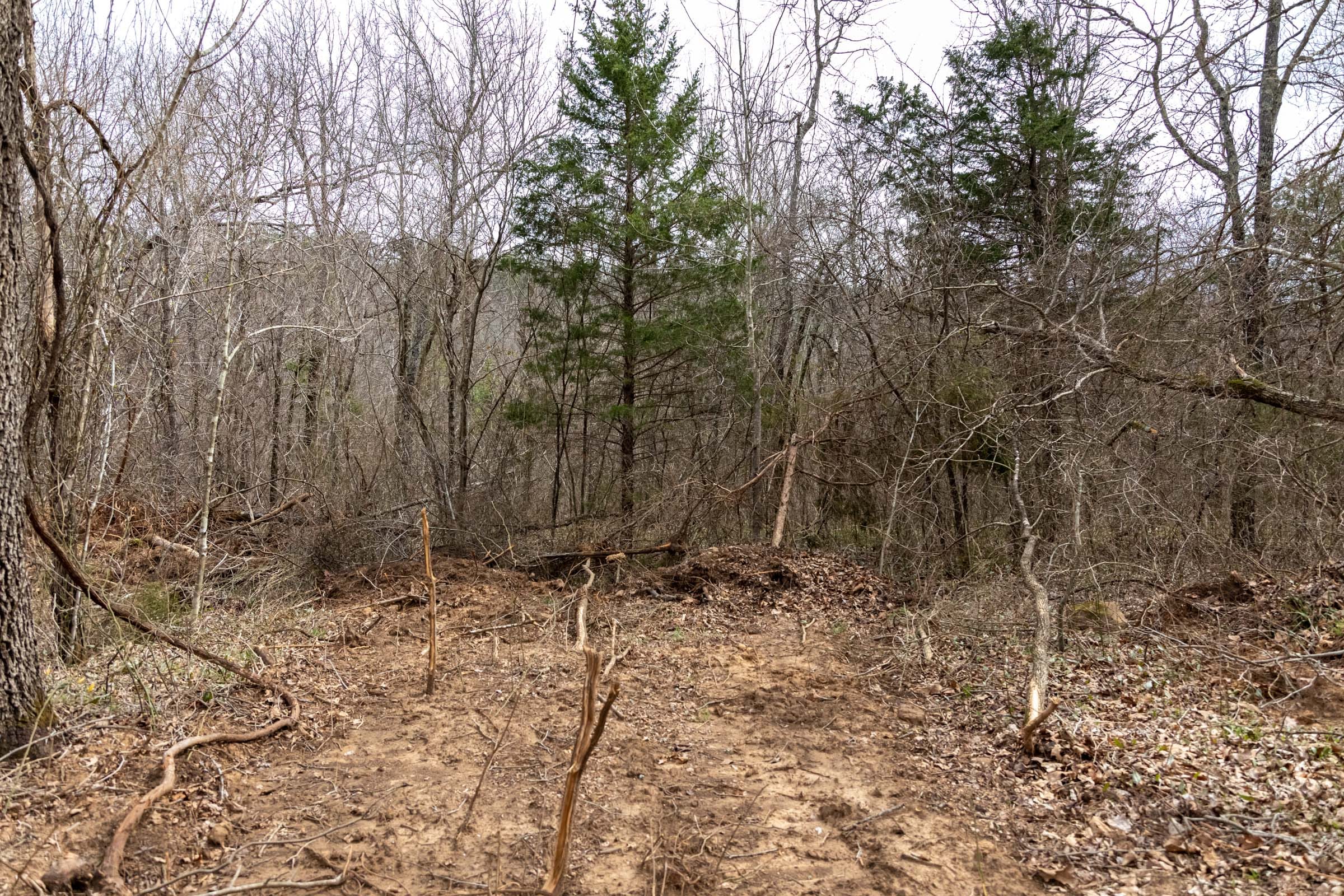 Stone Bridge Phase III Tract 165 photo 11