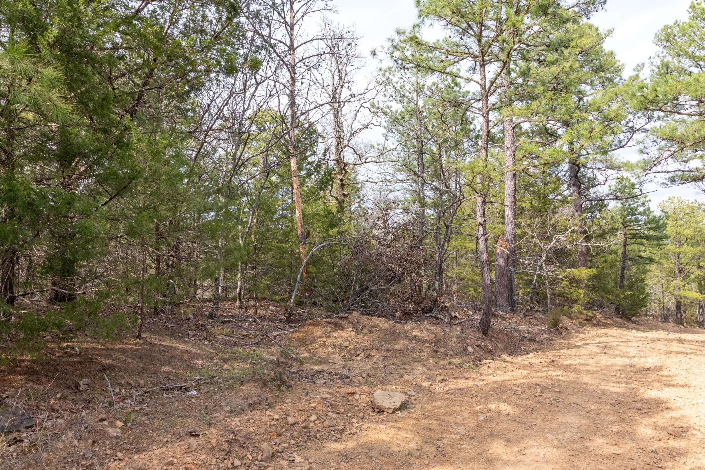 Stone Bridge Phase III Tract 165 photo 12