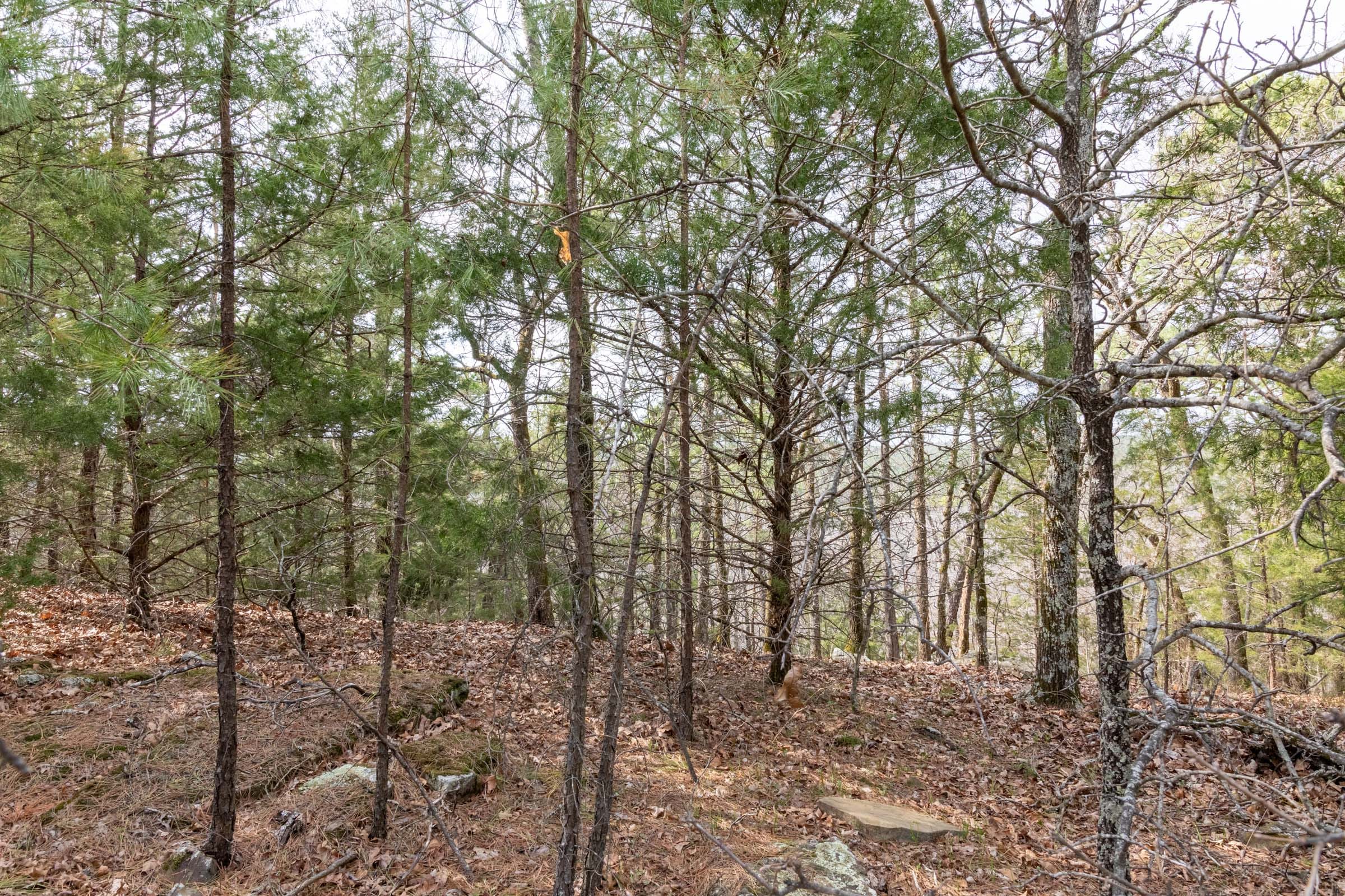 Stone Bridge Phase III Tract 165 photo 13
