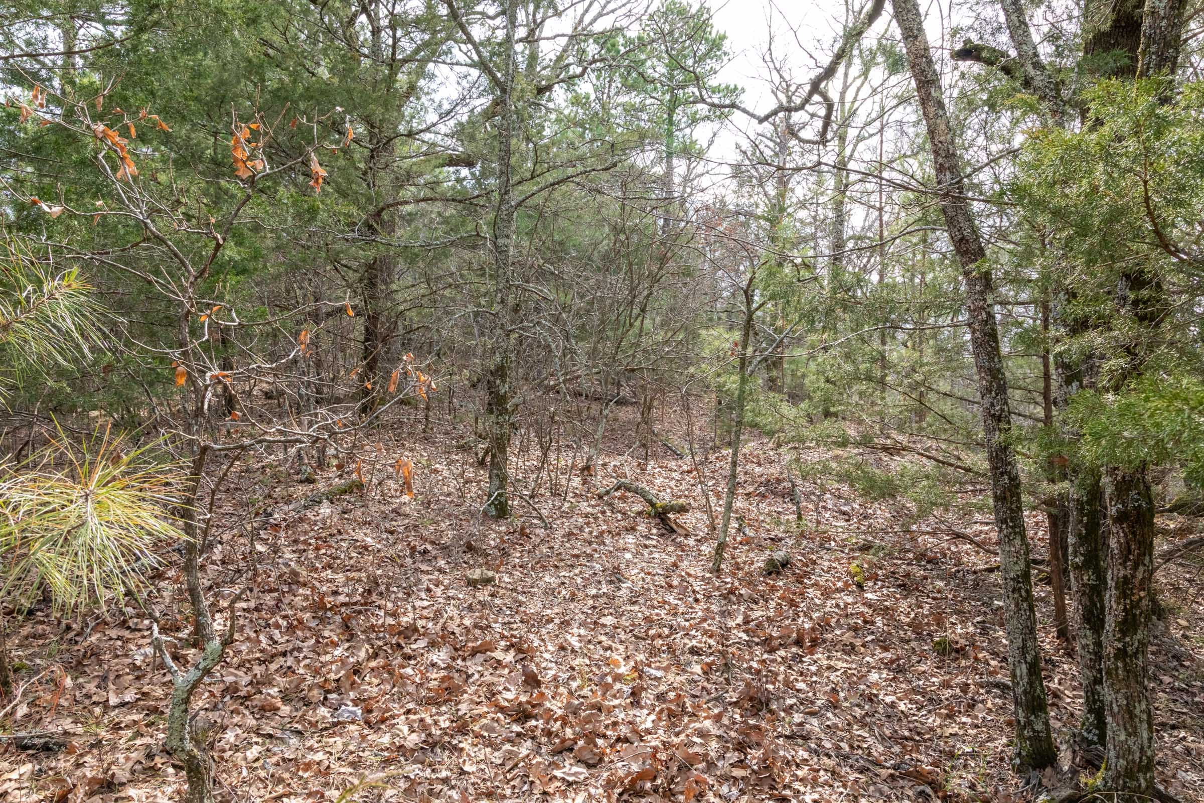 Stone Bridge Phase III Tract 165 photo 15