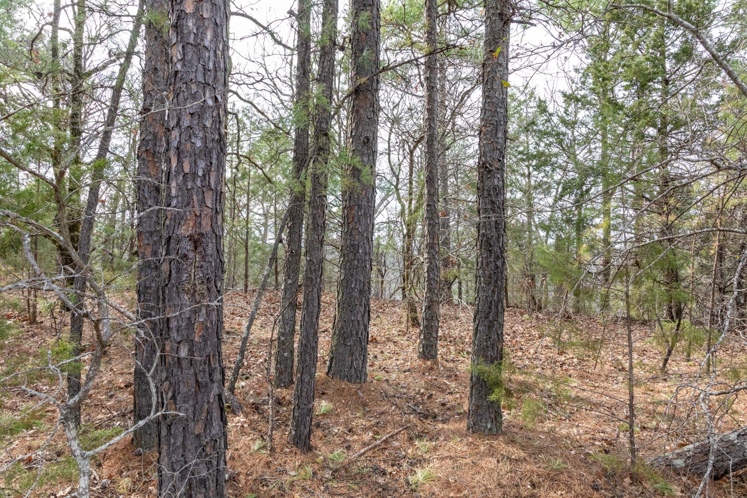 Stone Bridge Phase III Tract 165 photo 16