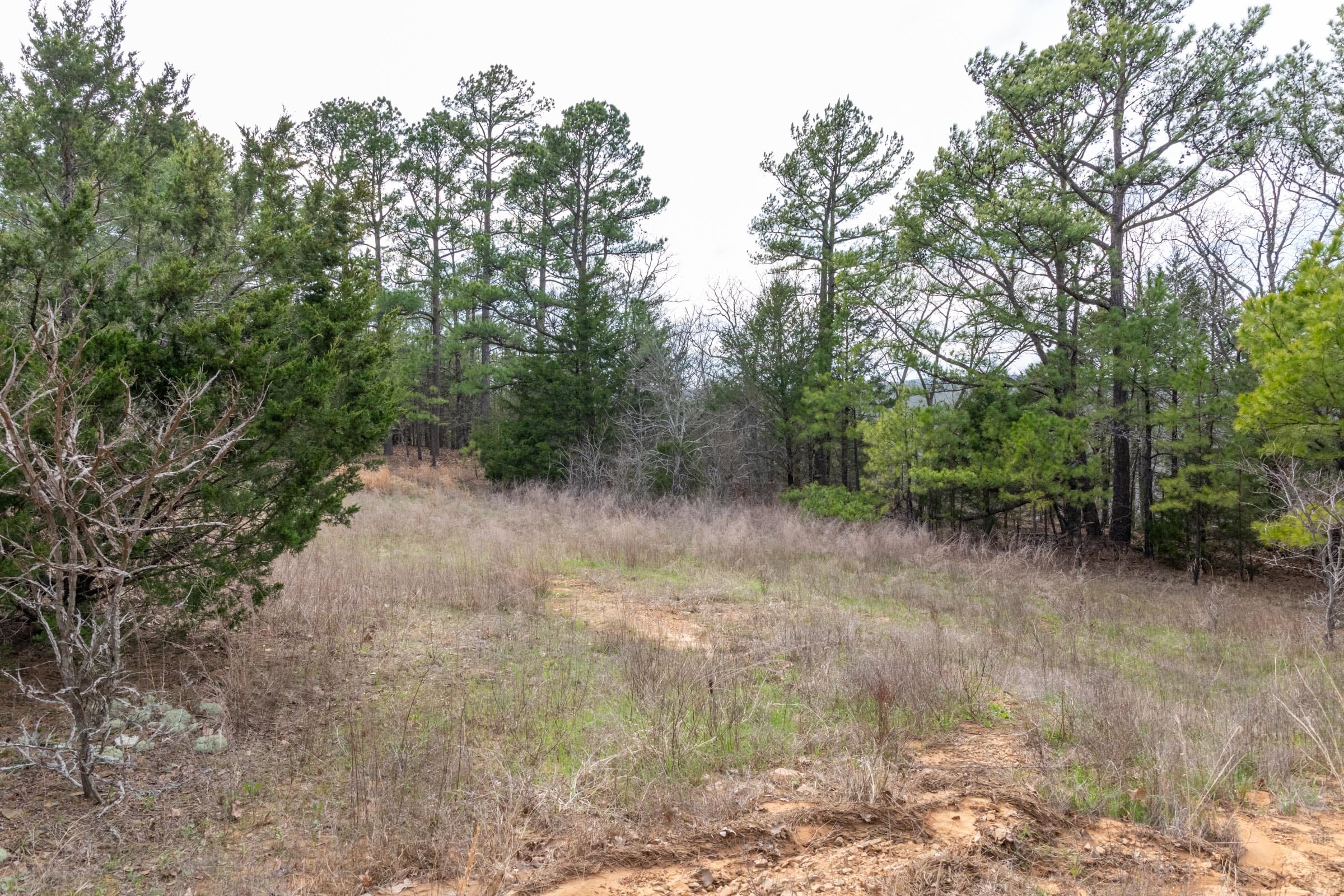 Stone Bridge Phase III Tract 165 photo 17