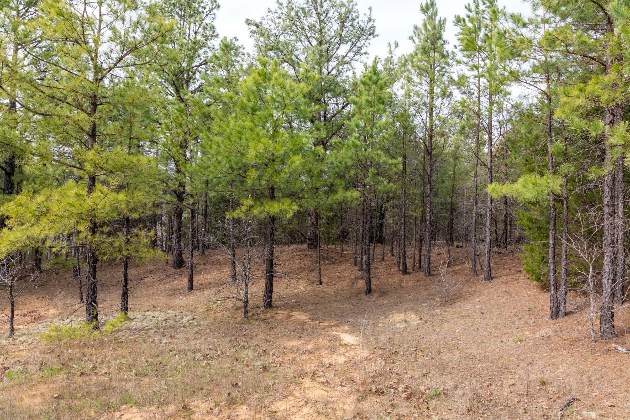Stone Bridge Phase III Tract 165 photo 18