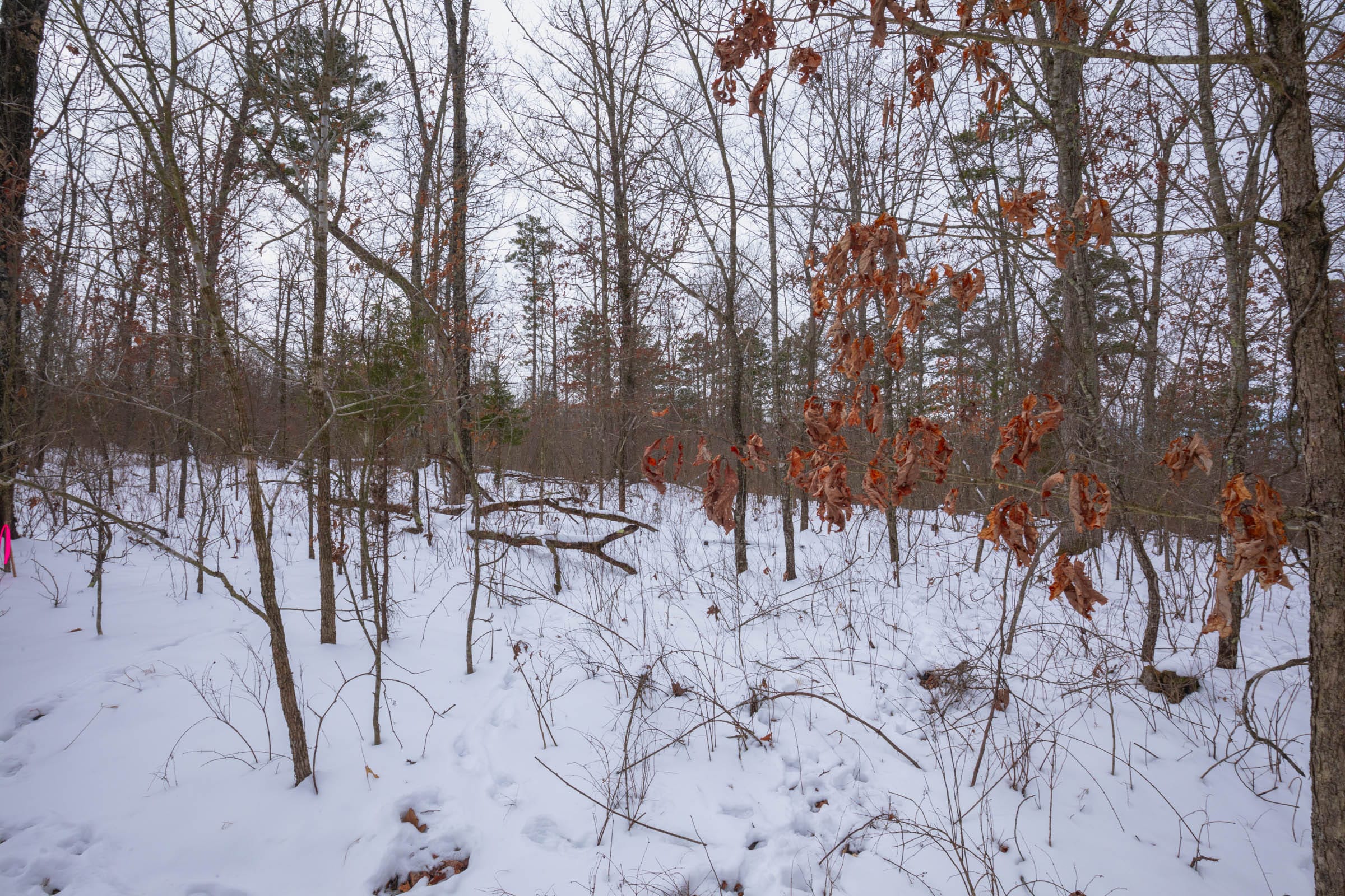 Sleepy Hollow Phase I Tract 48 photo 18