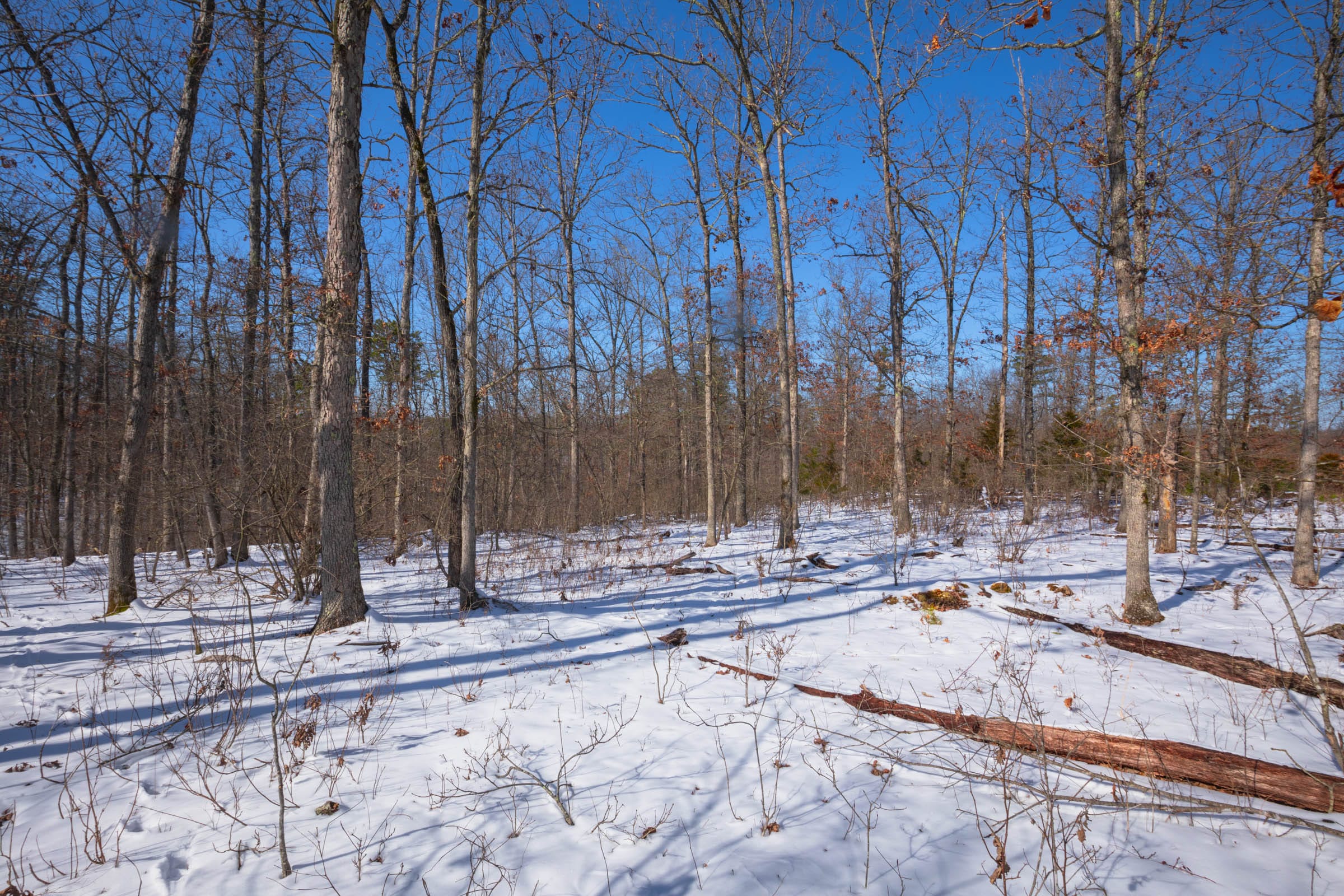 Sleepy Hollow Phase I Tract 48 photo 17