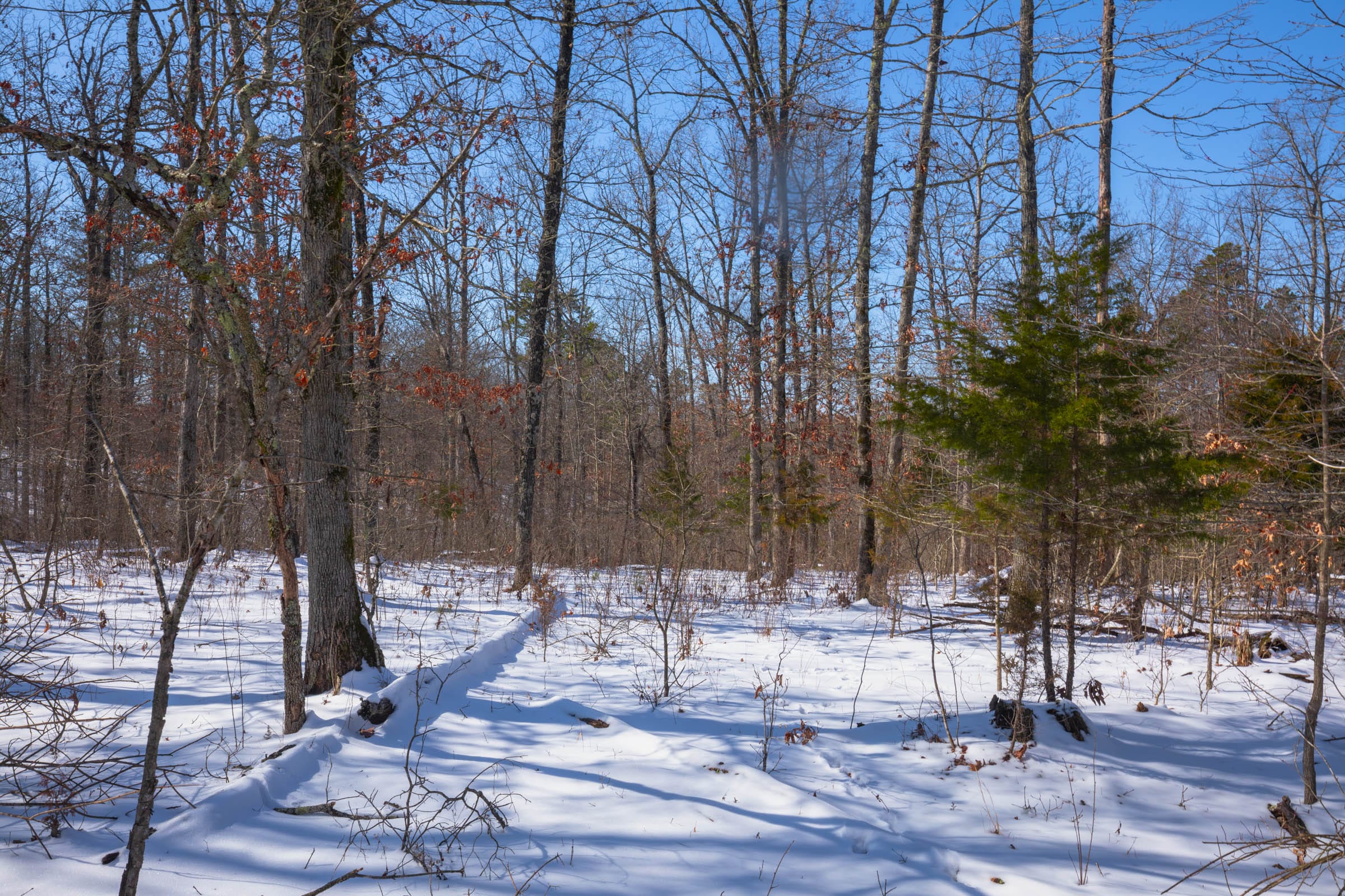 Sleepy Hollow Phase I Tract 48 photo 8