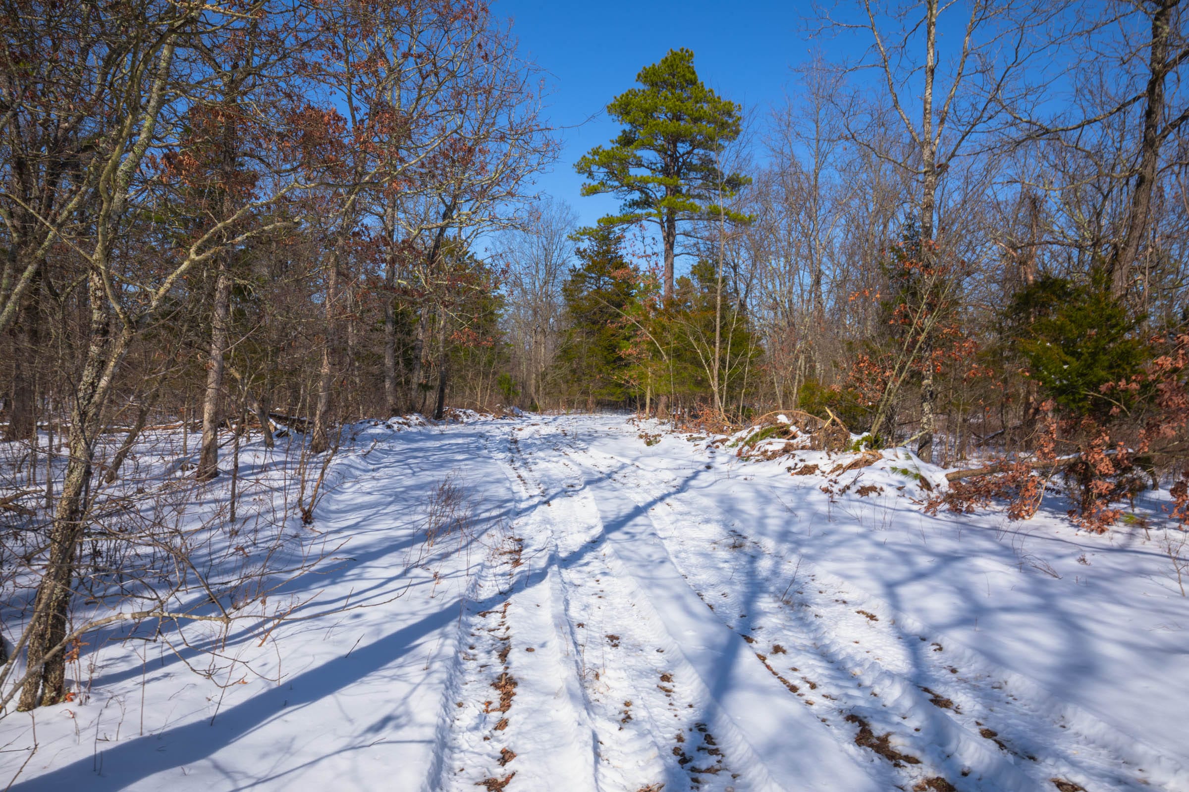 Sleepy Hollow Phase I Tract 48 photo 1