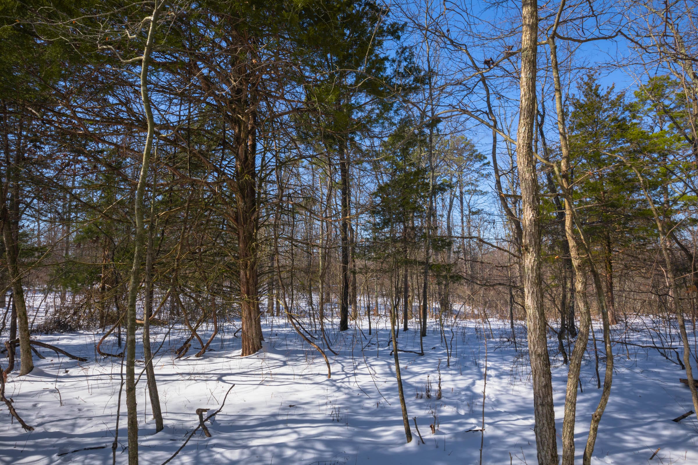 Sleepy Hollow Phase I Tract 48 photo 16