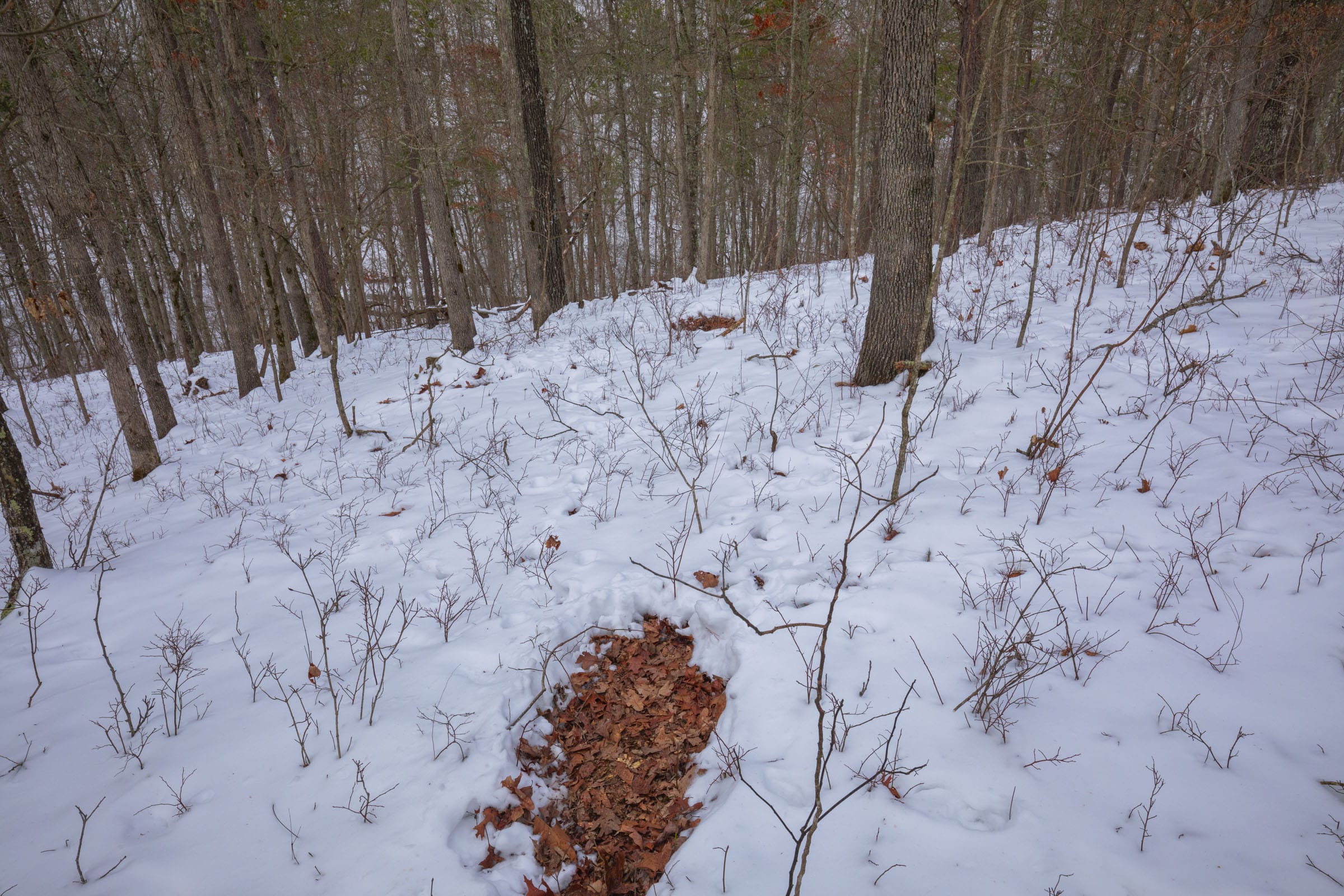 Sleepy Hollow Phase I Tract 48 photo 15