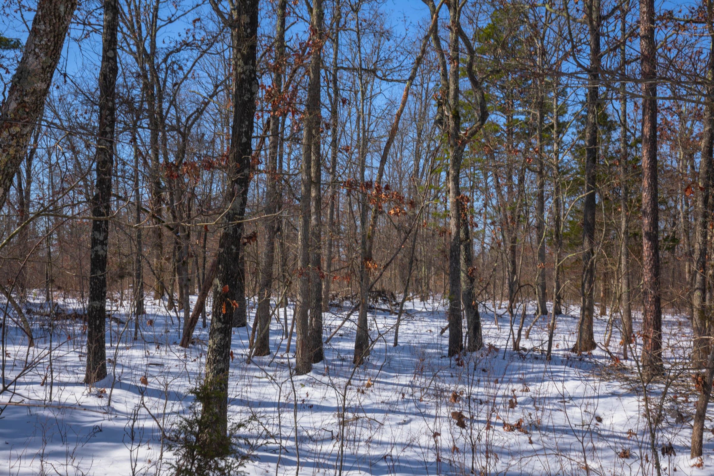 Sleepy Hollow Phase I Tract 48 photo 14