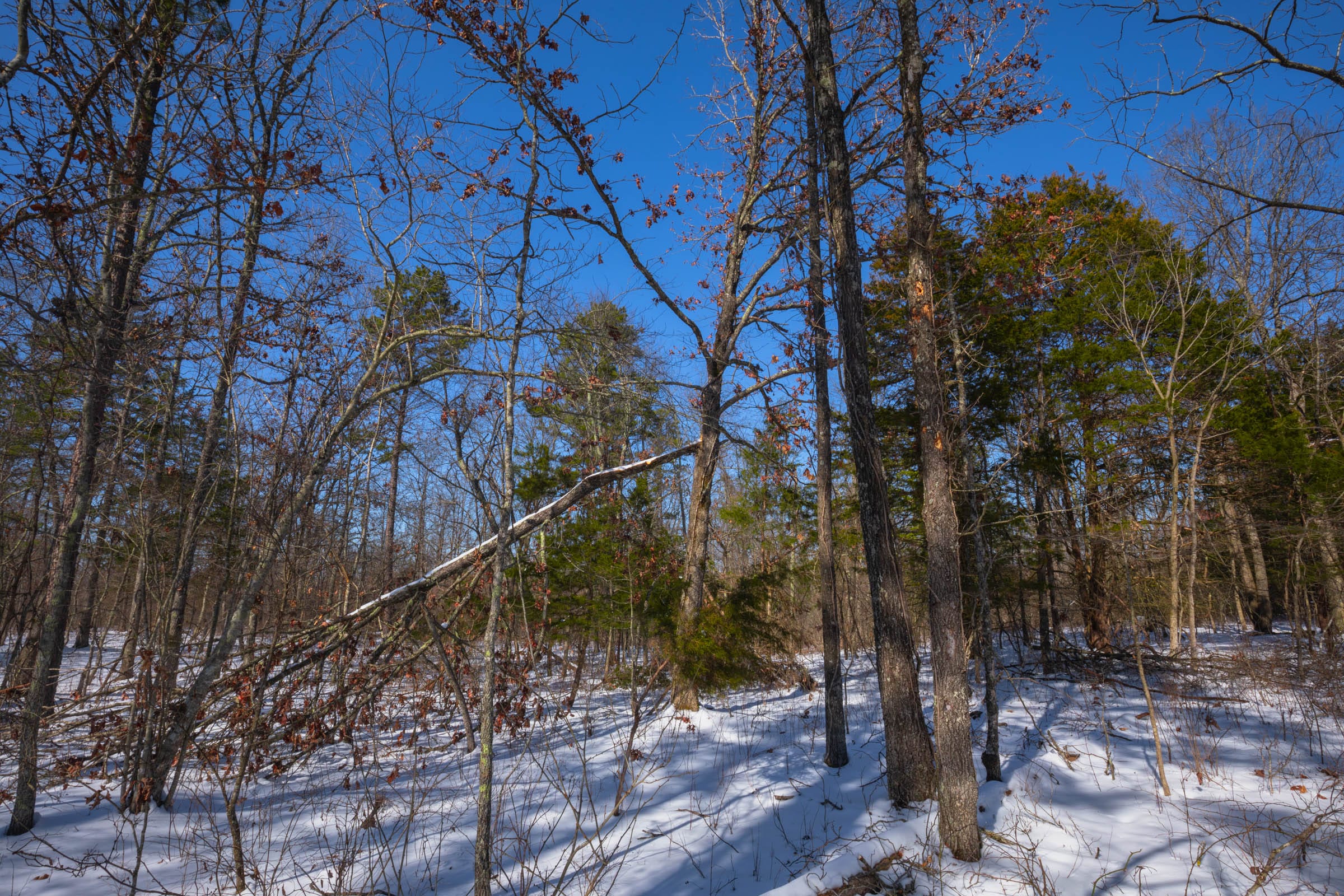 Sleepy Hollow Phase I Tract 48 photo 5