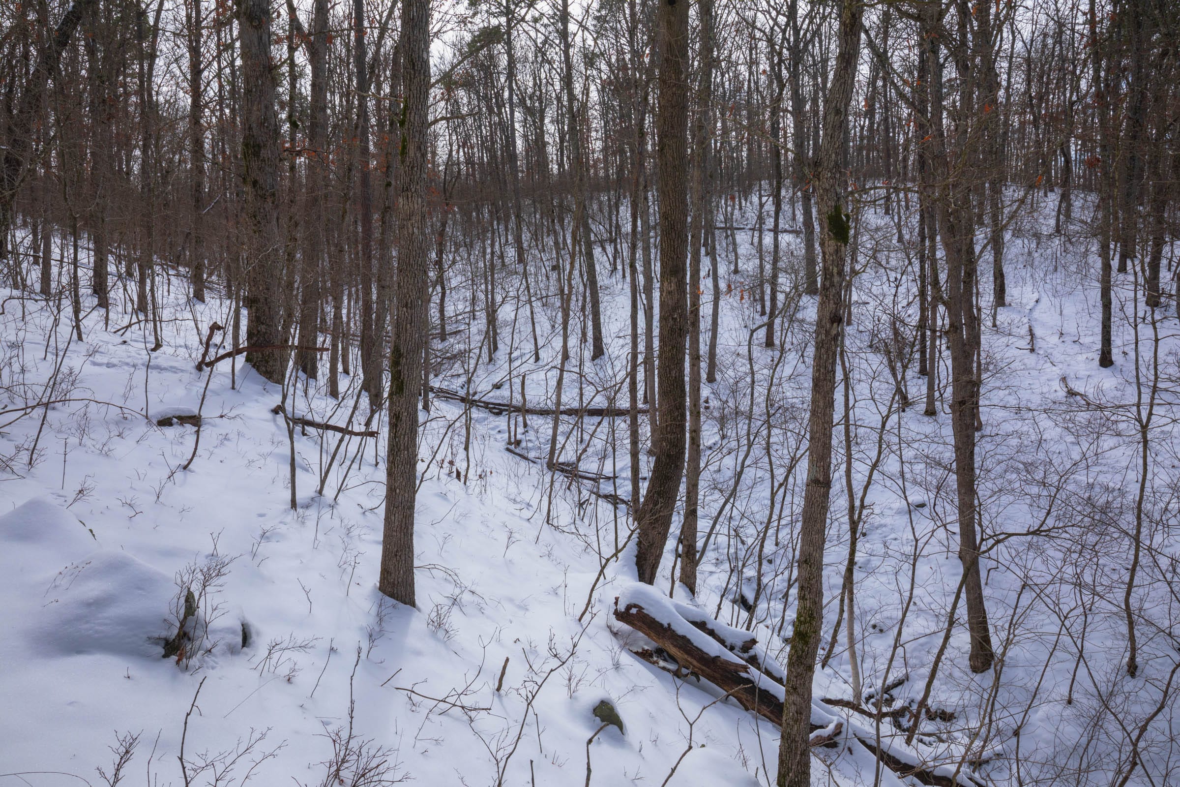Sleepy Hollow Phase I Tract 48 photo 9